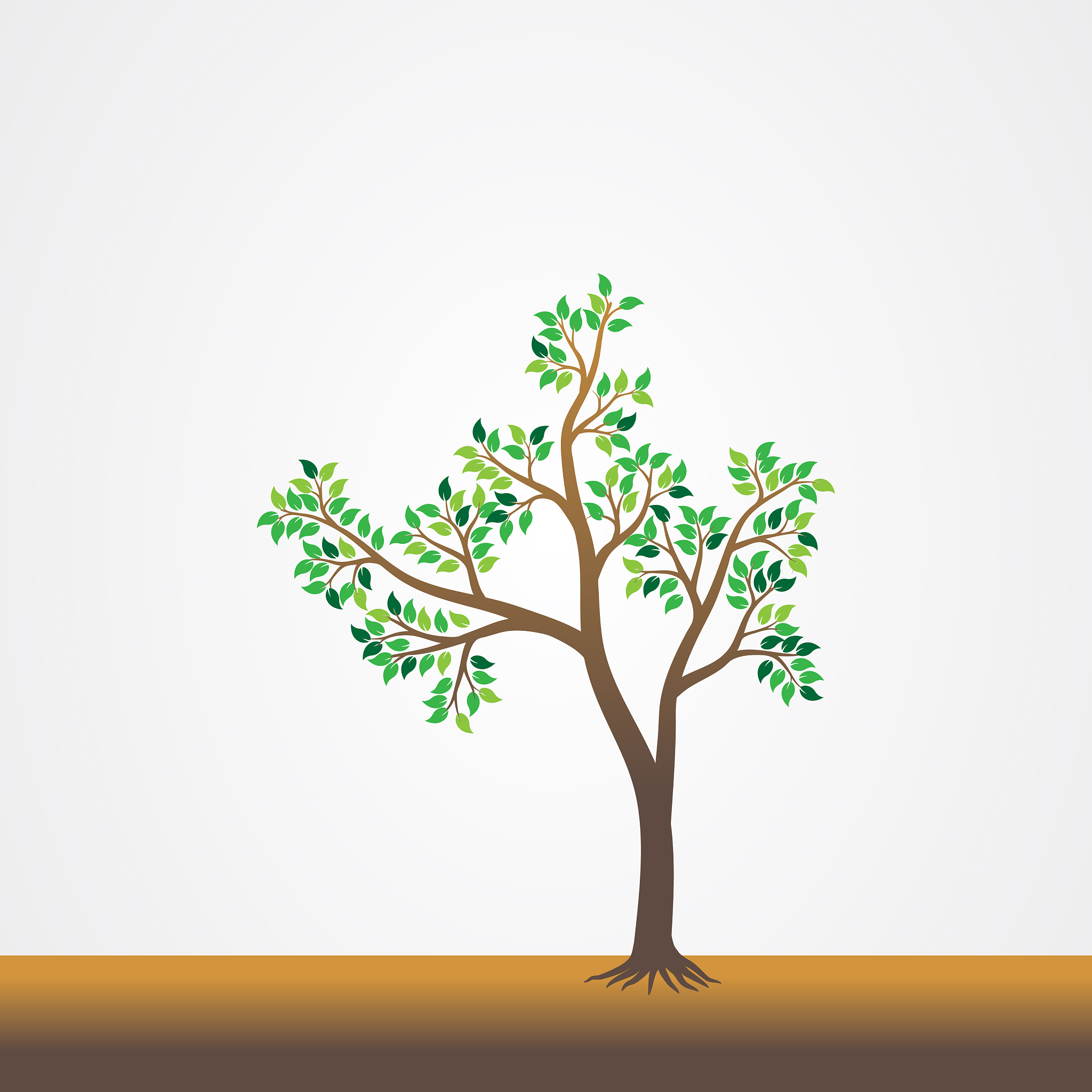 修剪绿化树木地上部分对树根的影响