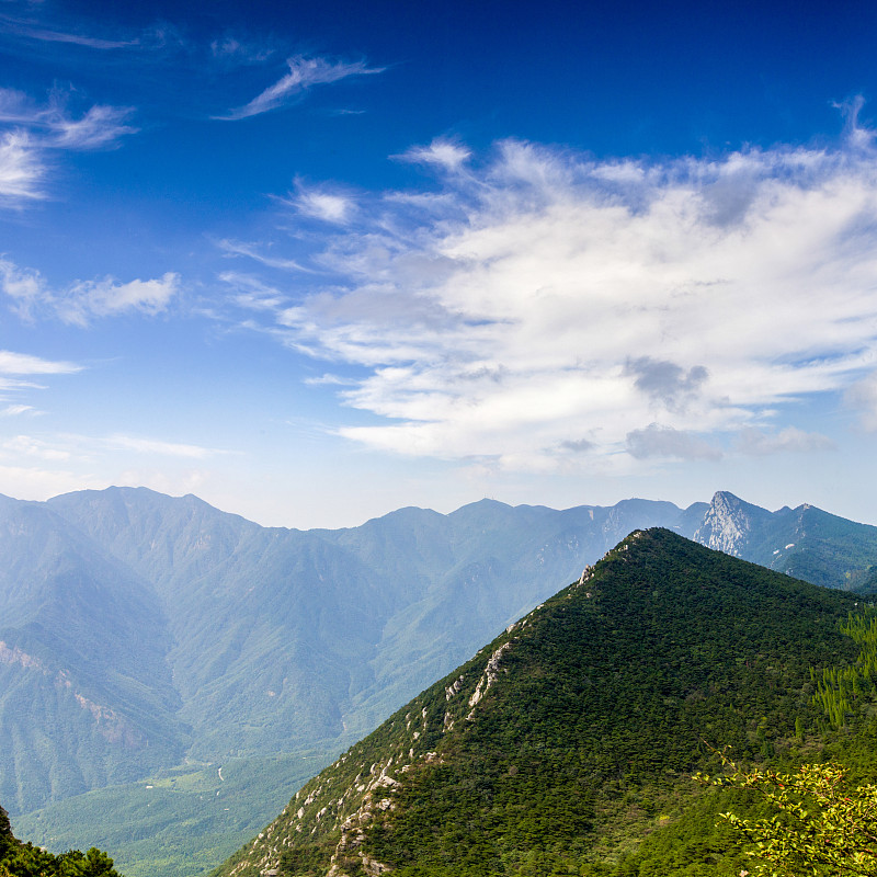 九江求助热线：400-1234-5678，为您答疑解惑，守护您的权益！