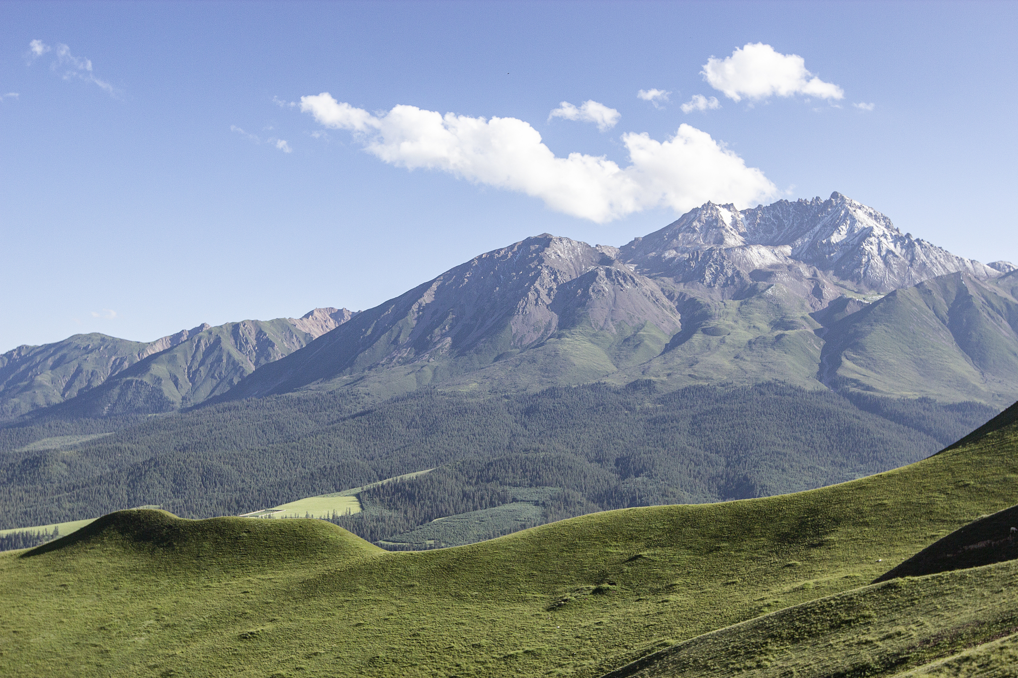 grassland under the high mountains of the qinghai-tibet plateau 