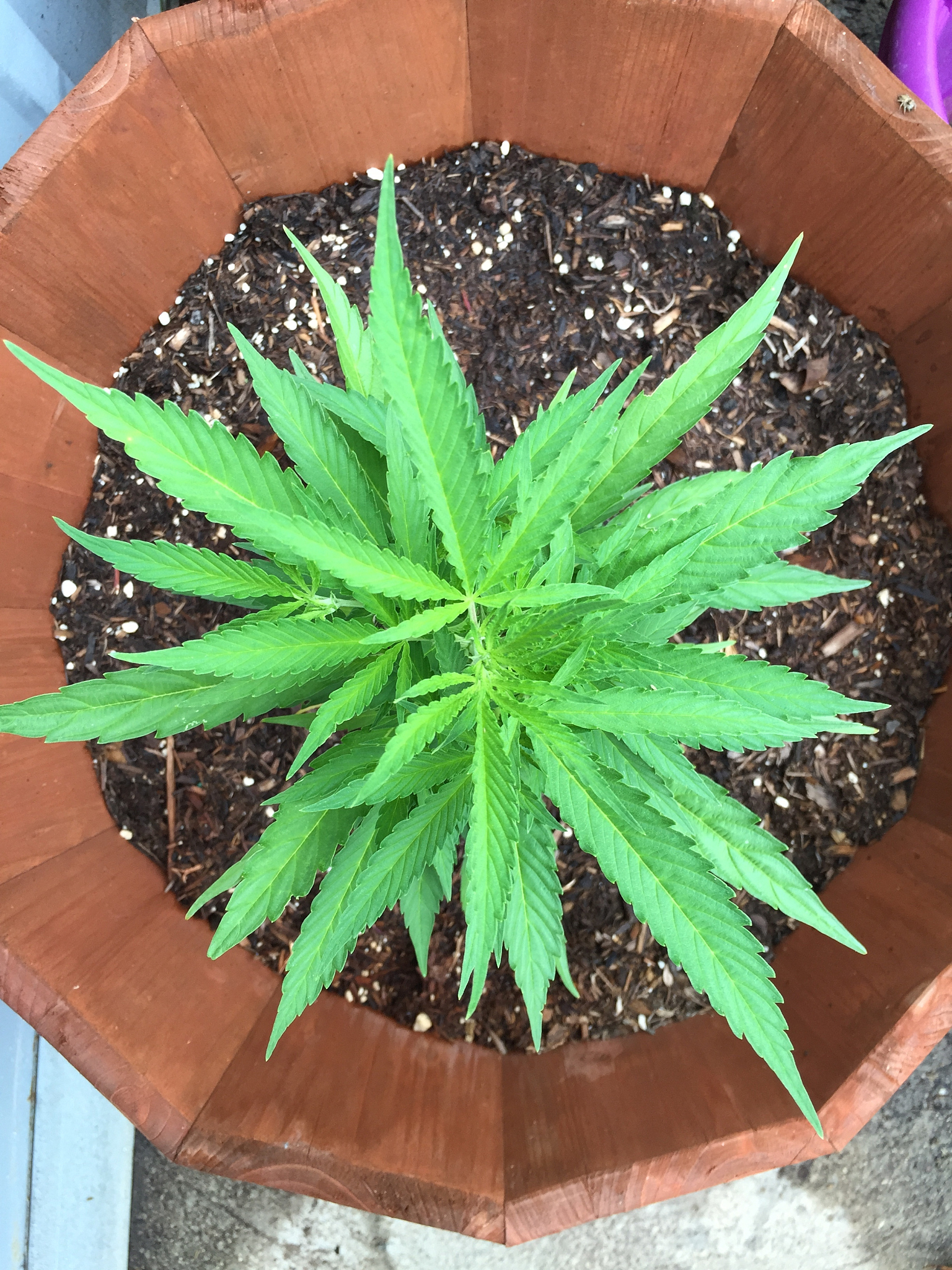 陇东学院化学专业课程详解：学什么？能做什么？