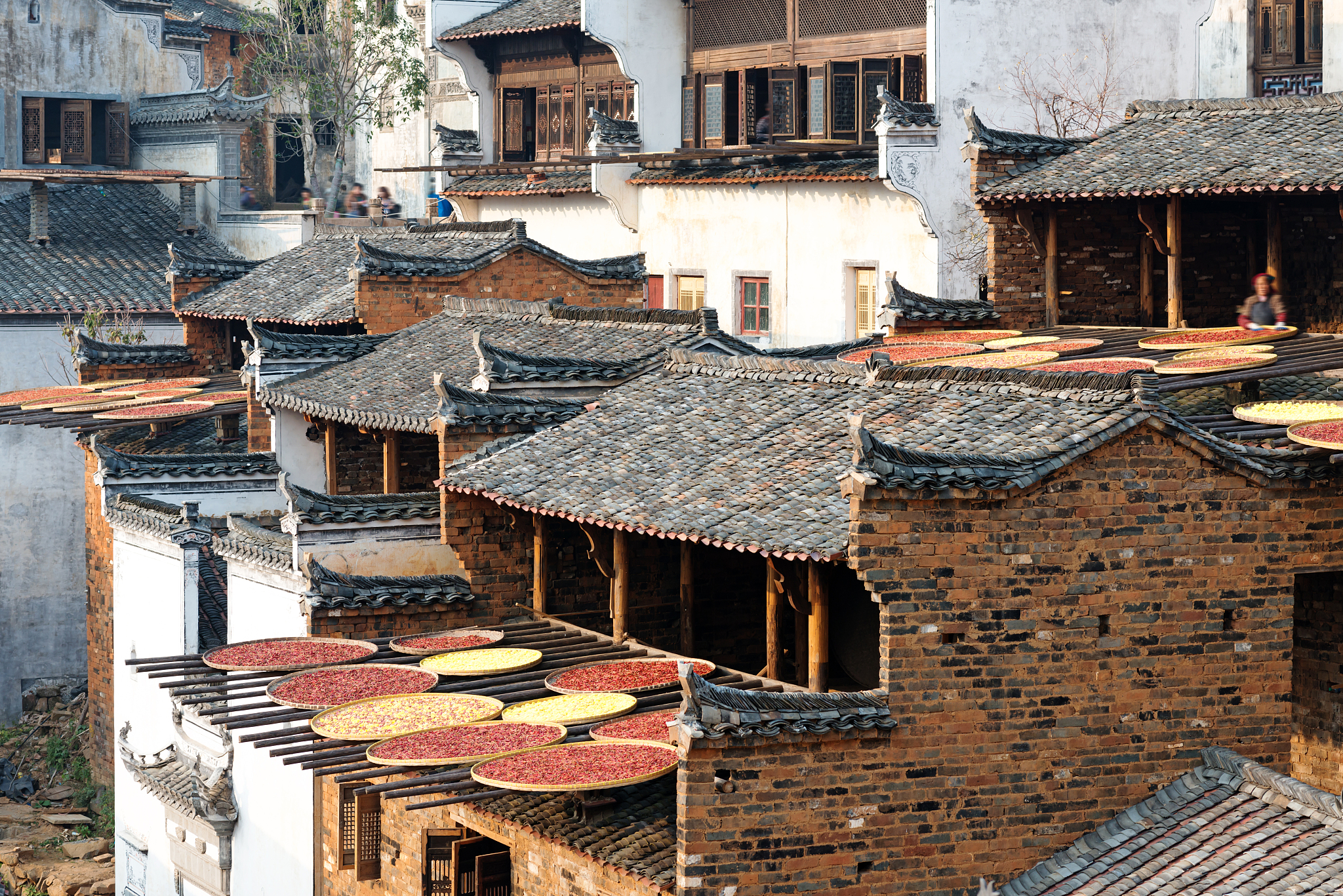 江西现代技师学院2021年专业设置：涵盖工科、商科、文科、艺术等领域