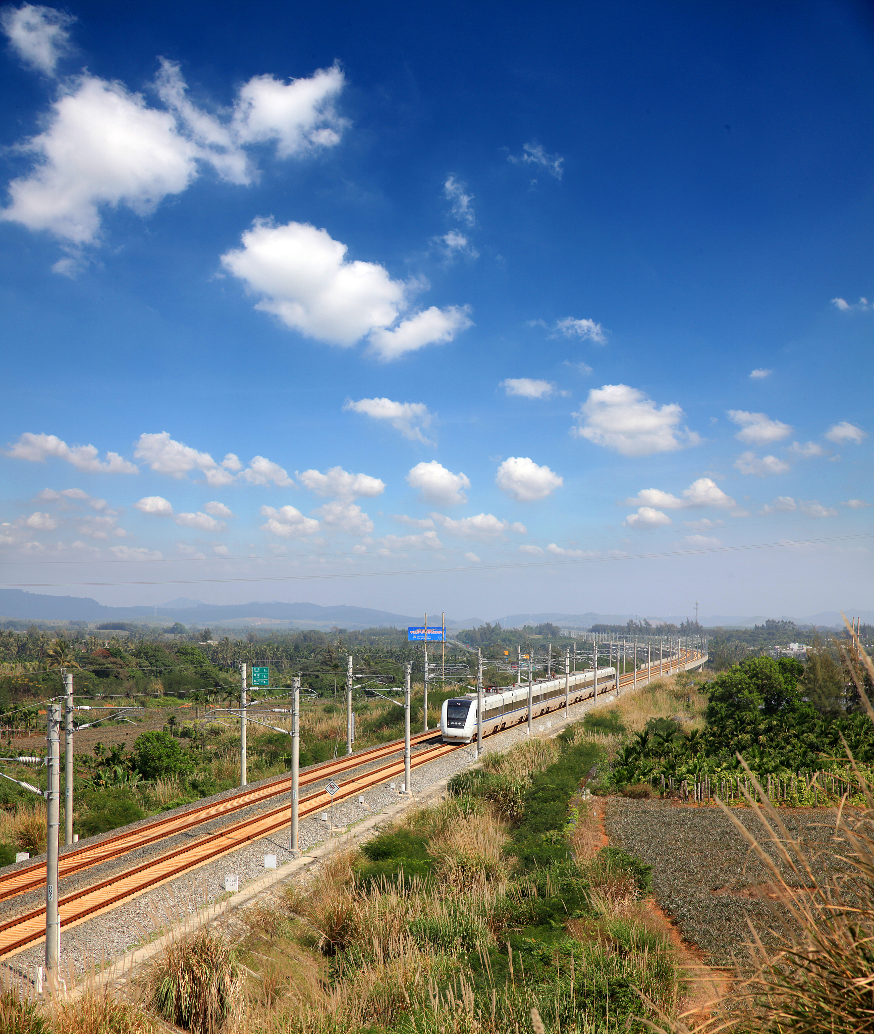 成都高铁学校就业前景分析：机遇与挑战并存