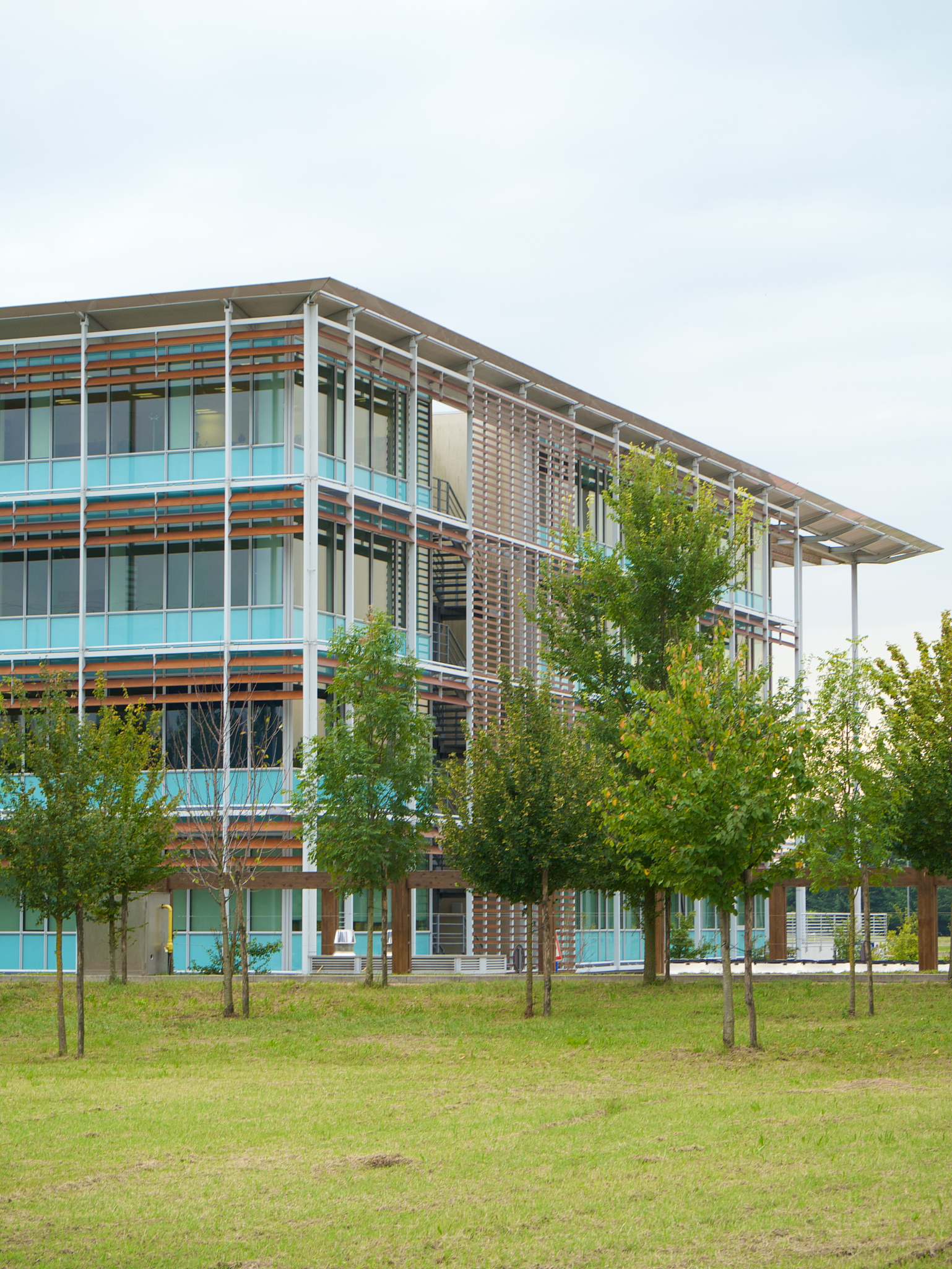 建东职业技术学院古建筑工程技术专业：前景、就业方向解析