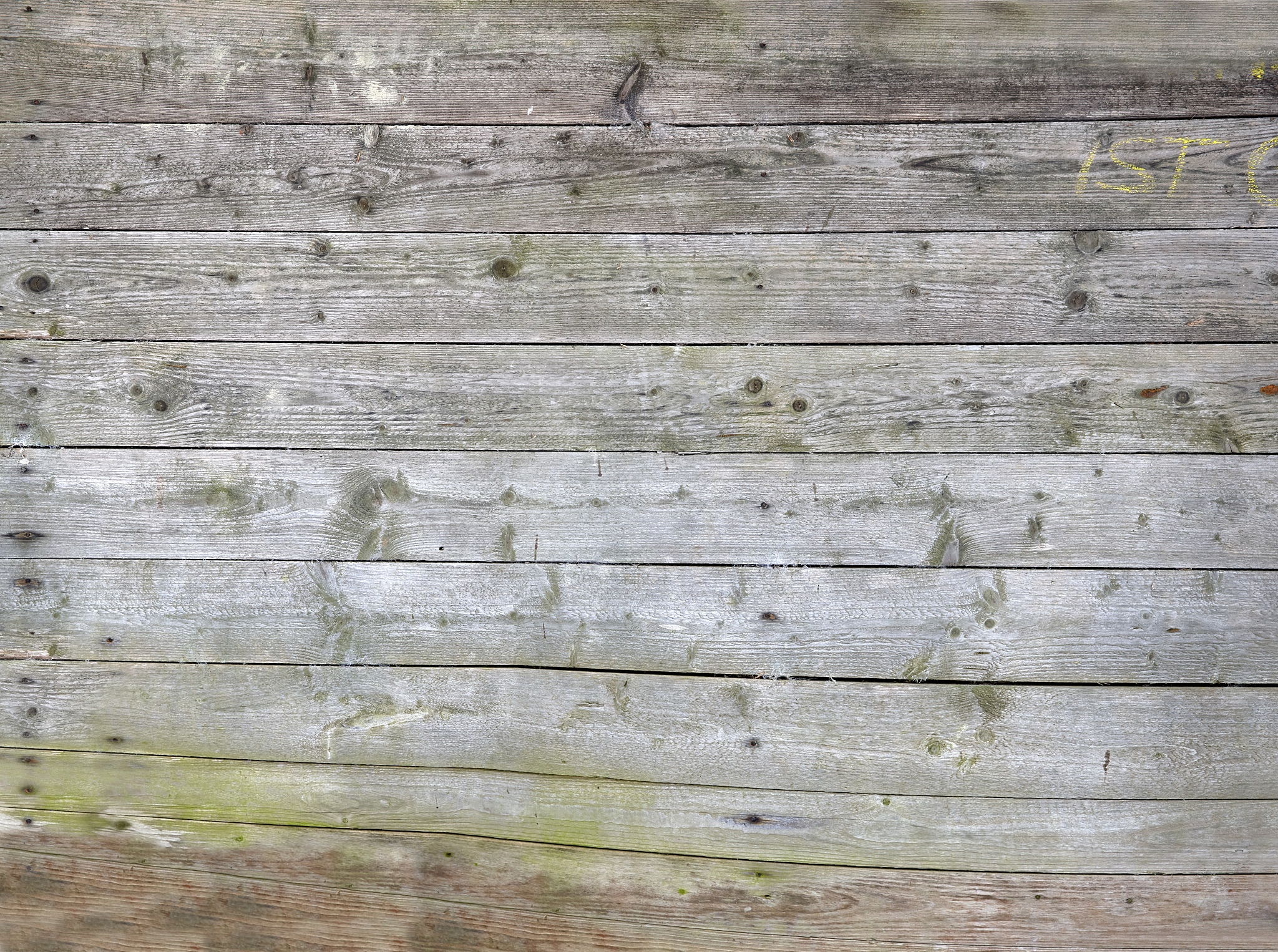 Review: Surprisingly Nice & Sturdy Shed - Pros, Cons & Assembly Tips