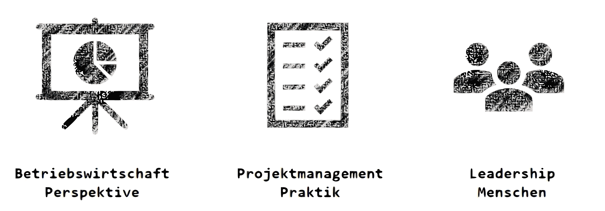 功能型项目组织中项目经理的资源控制
