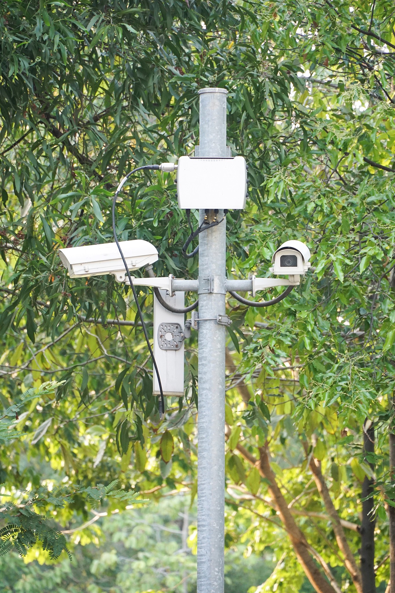 四害密度监测器功能特点：实时监测、多重检测、精准测量、便携设计