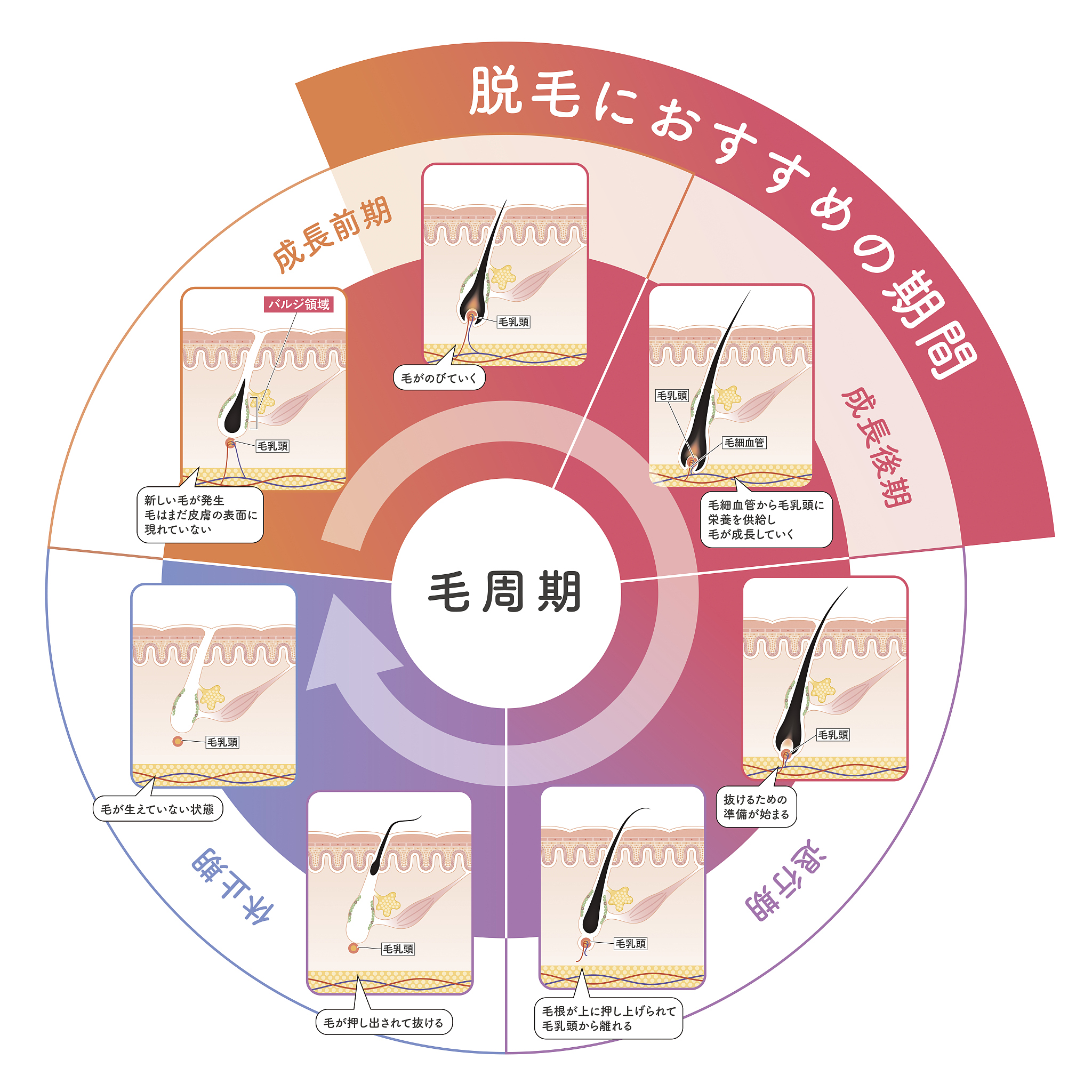 中国学生核心素养框架：培养全面发展人才的六大素养