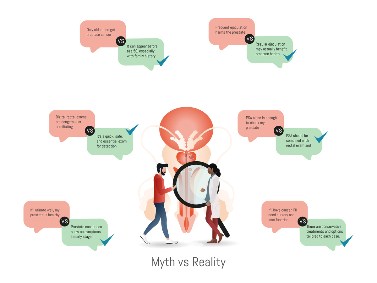 正常男性前列腺大小范围及影响因素