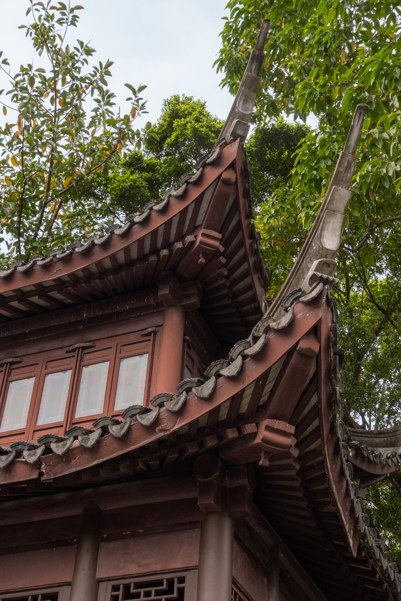 古建筑修缮与仿建专业就业前景及方向：机遇与挑战并存