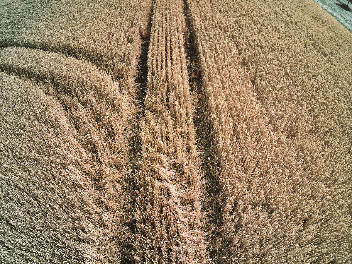 人类如果不用吃饭世界会怎样