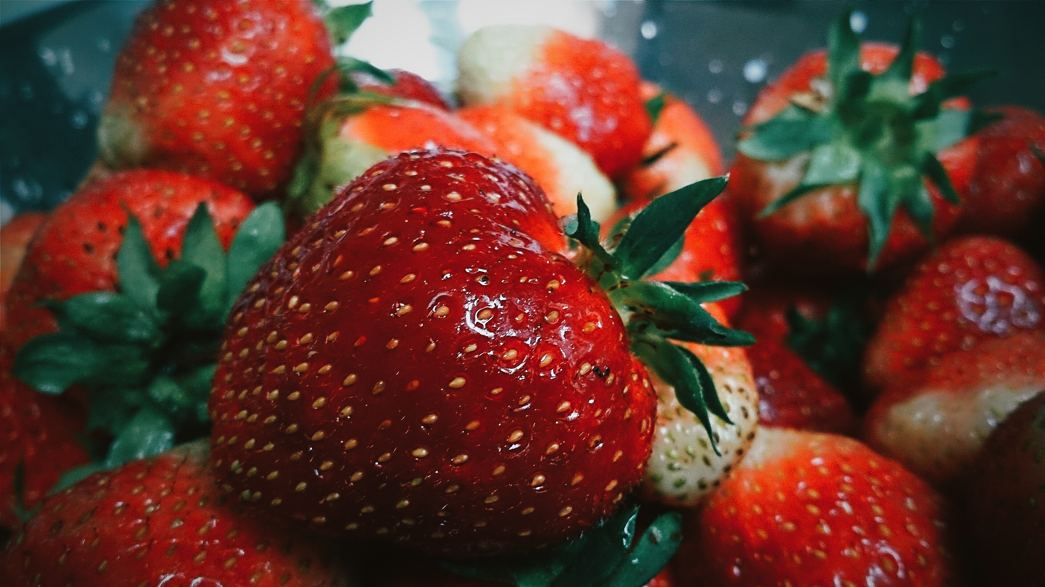 曲靖农业中等专业学校2019年五年制大专招生咨询报名