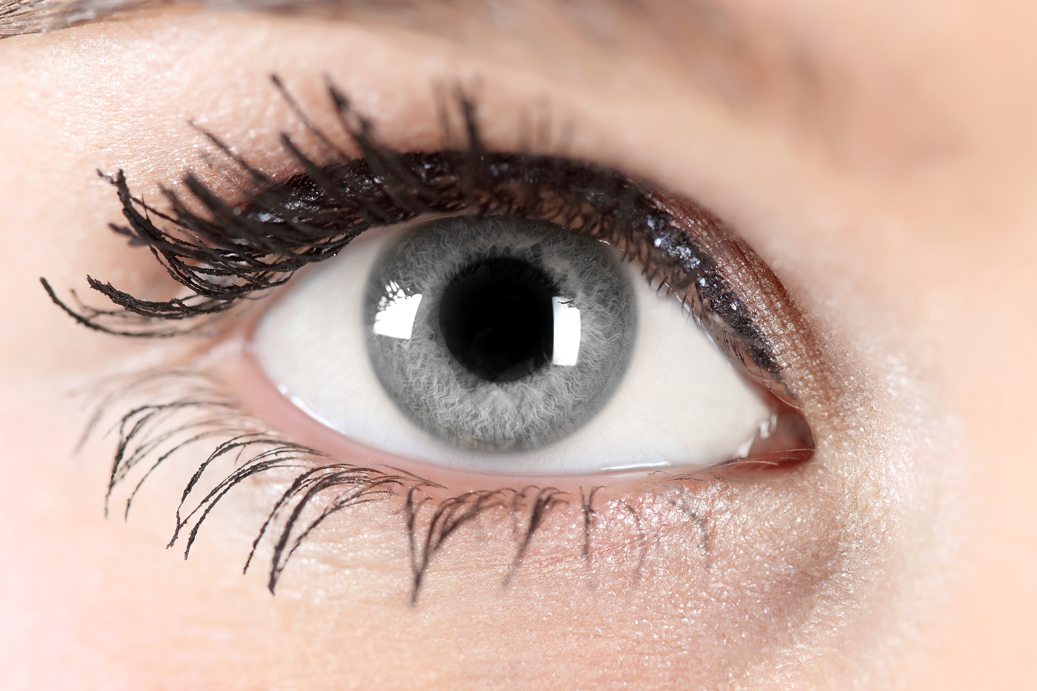 gray eye