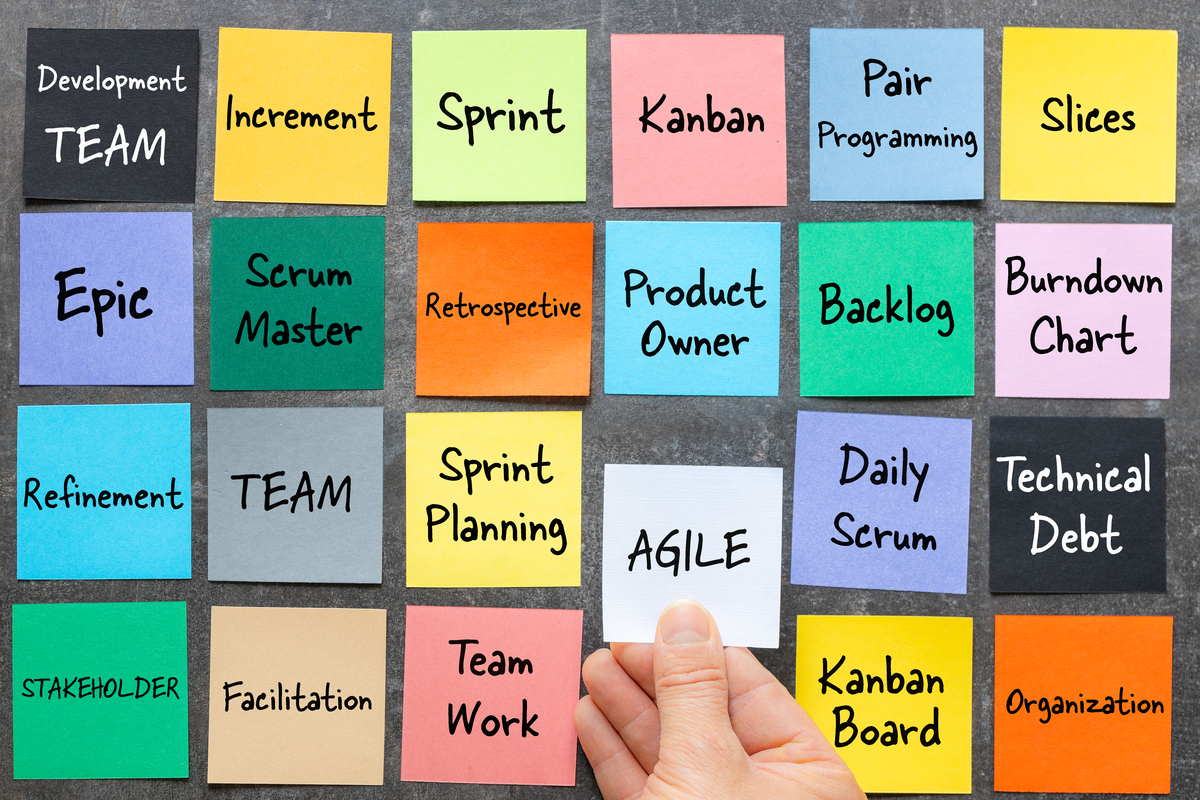 用catch chance climb clean造句