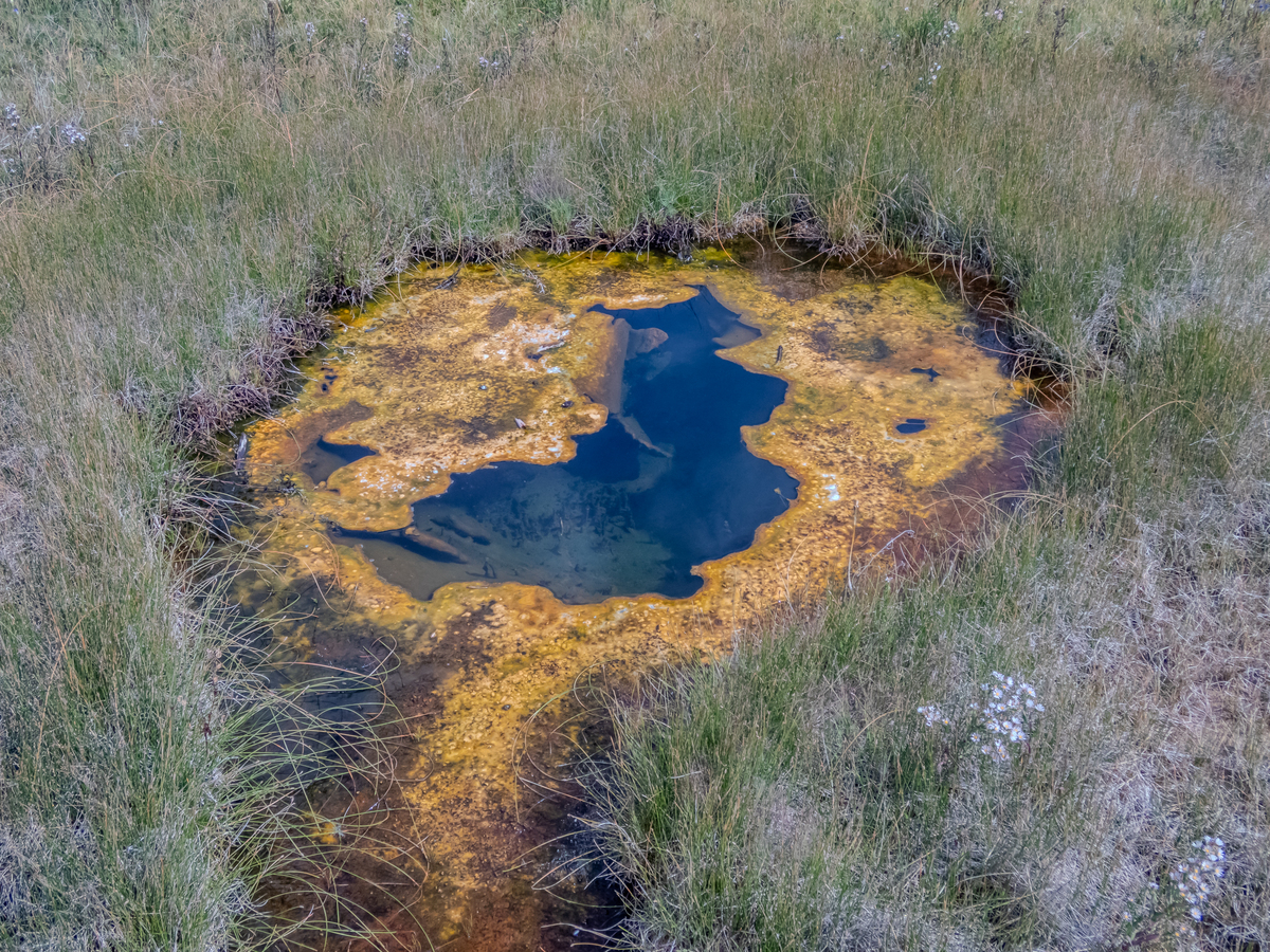 黄石国家公园：19世纪的破坏与恢复