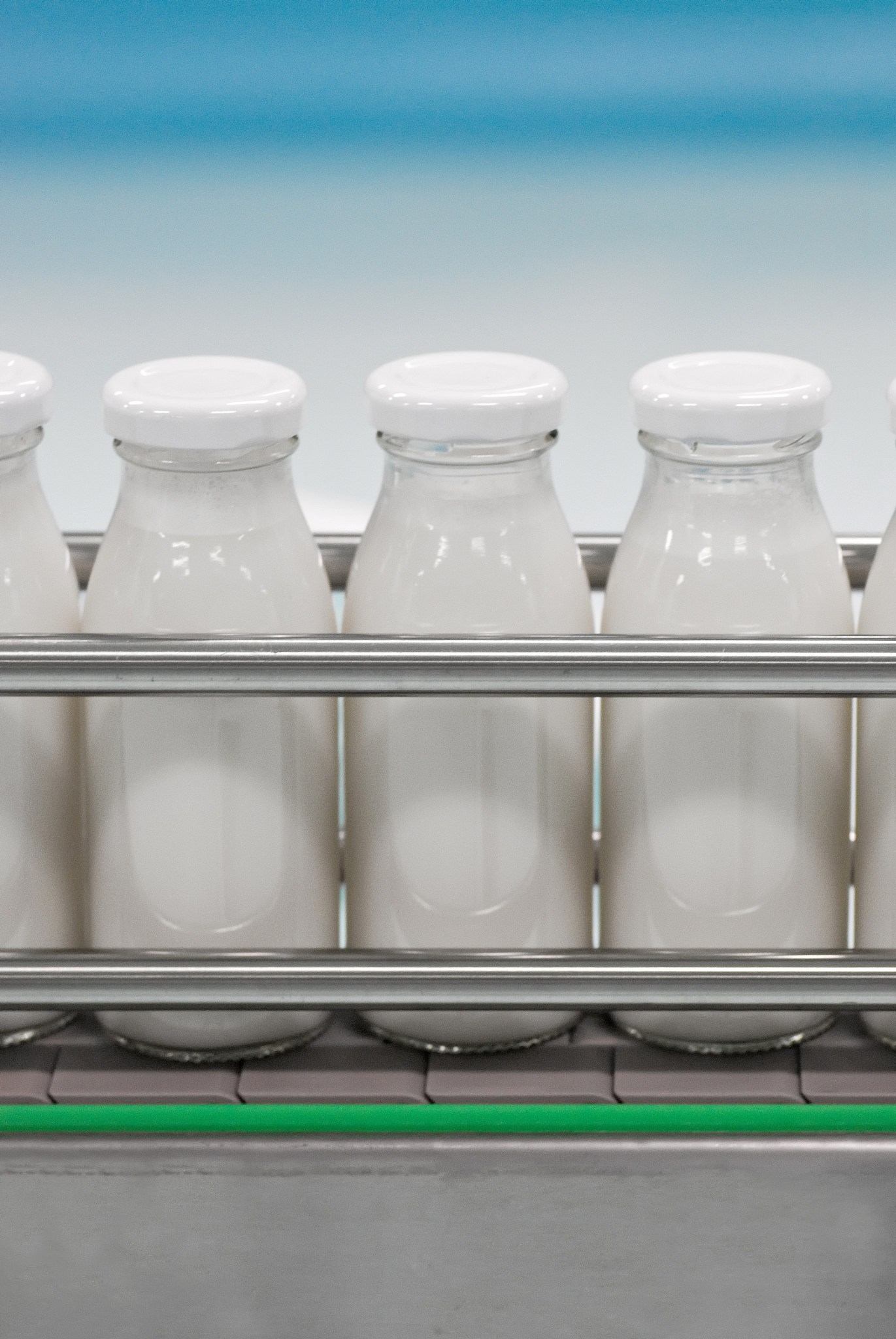 glass bottles on the conveyor belt