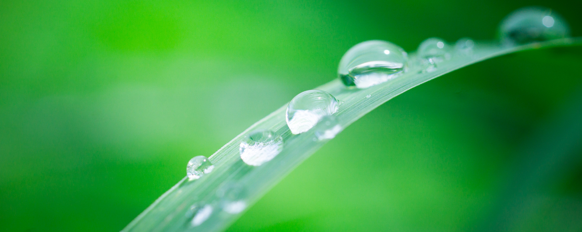 我是一滴水珠 写一篇300字小学作文