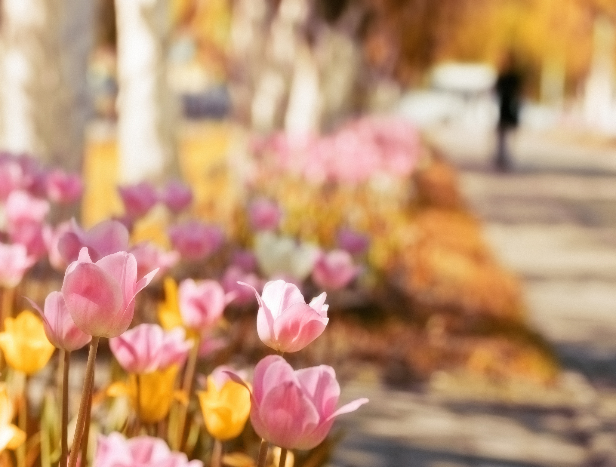 想你的风还是吹到了陌上繁花是什么意思