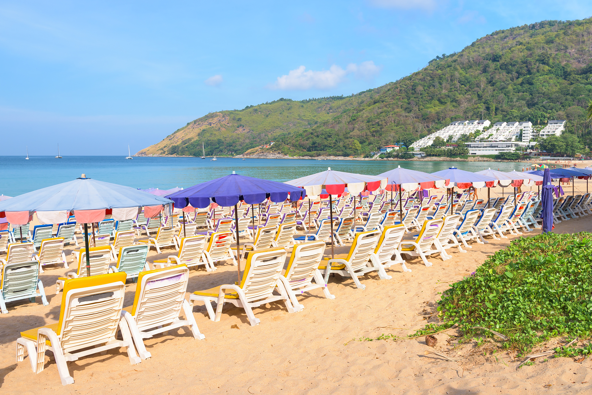 给老婆写一篇出门申请