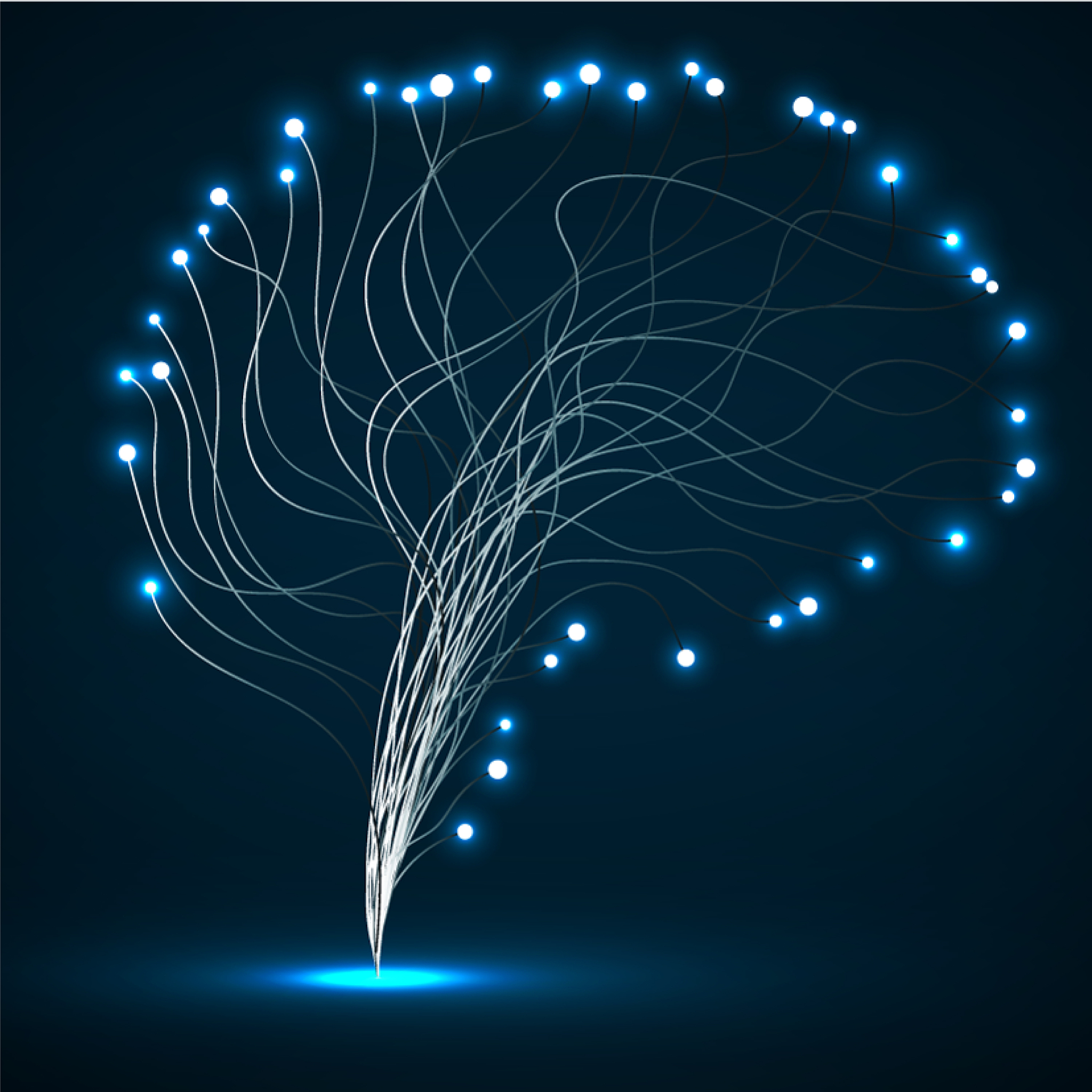 沈阳科技学院专业有哪些？专业介绍