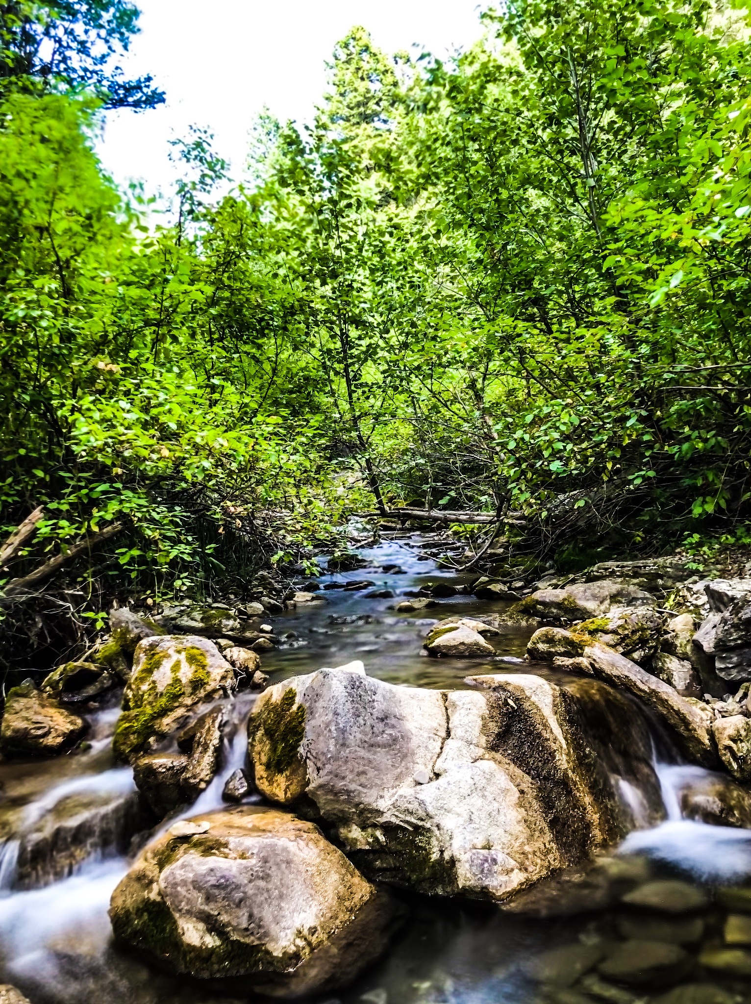 请用100字描述小溪流水潺潺 远山云雾笼罩 四周树木充沛的景象