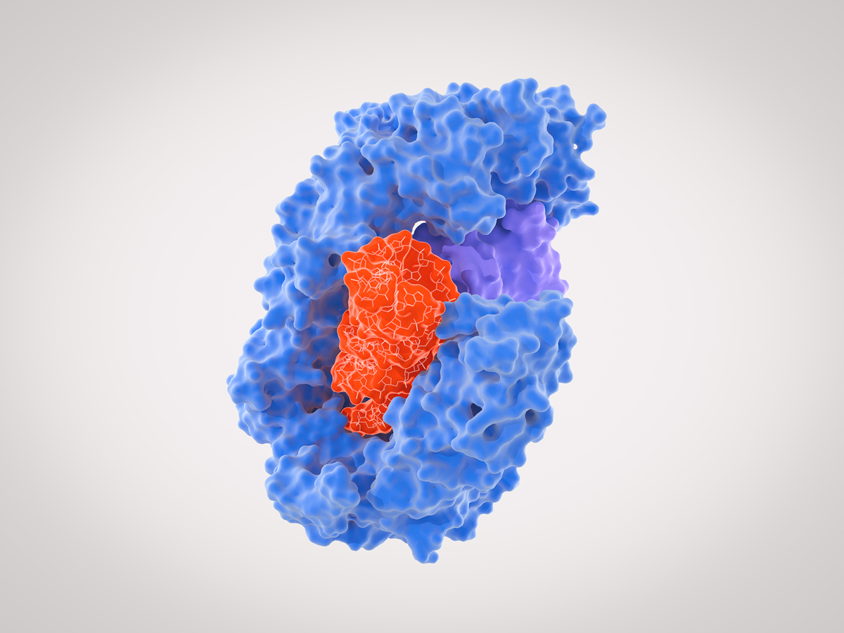 CANCER CELL期刊：癌症研究领域权威指南