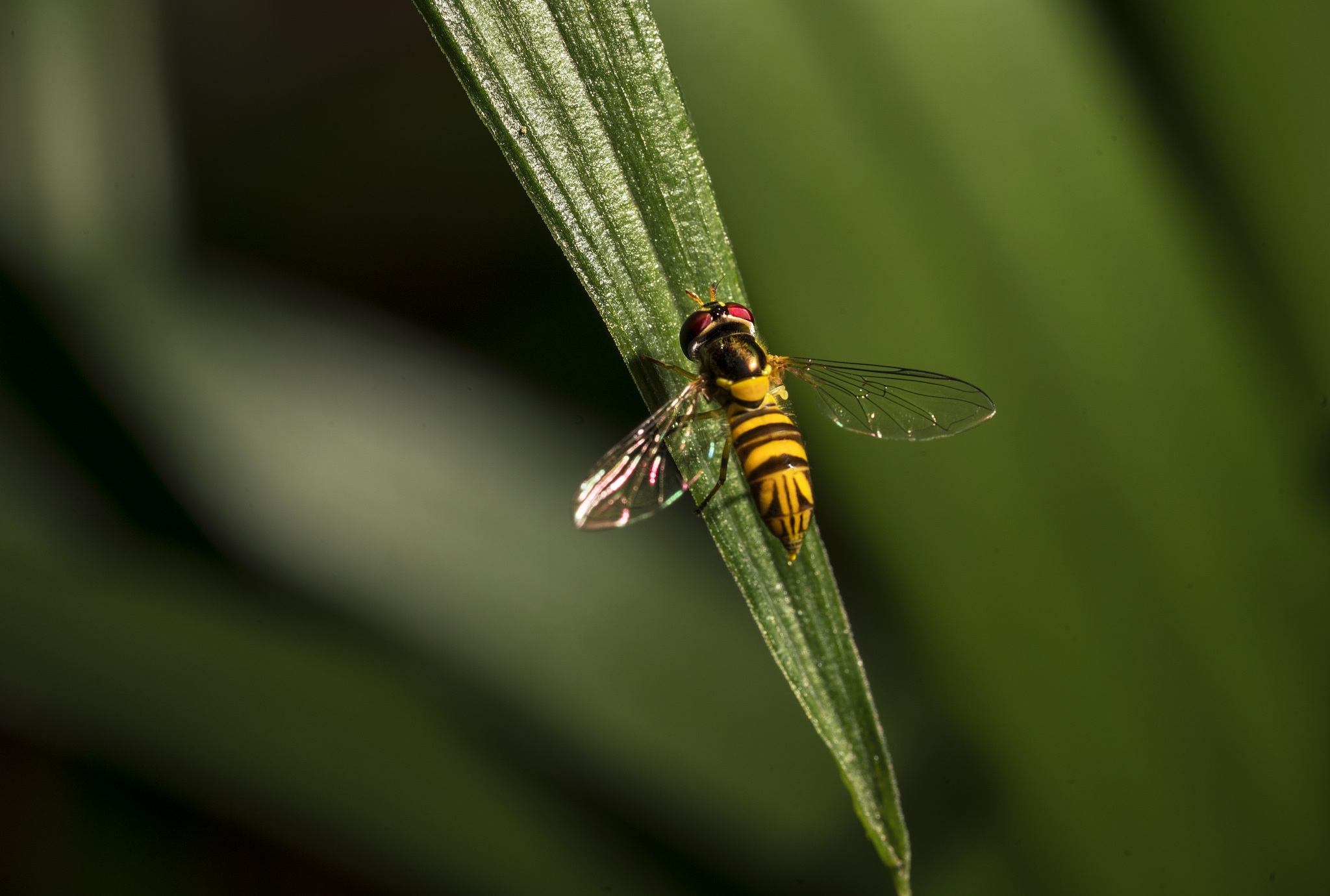 六年级科学下册必背知识点