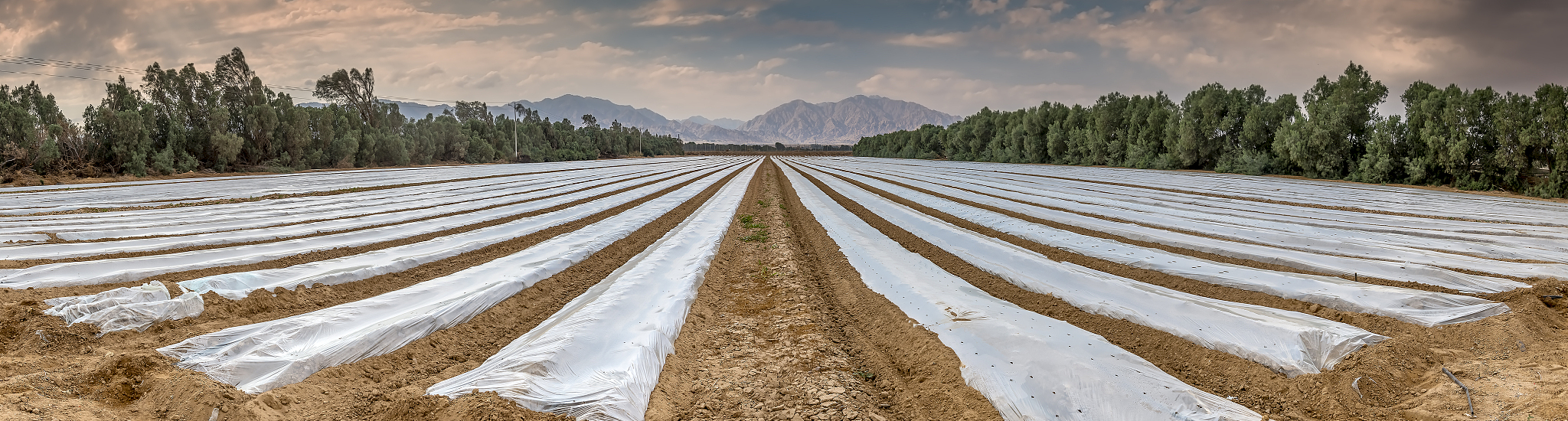 广西农业职业技术学院种子生产与经营专业怎么样？