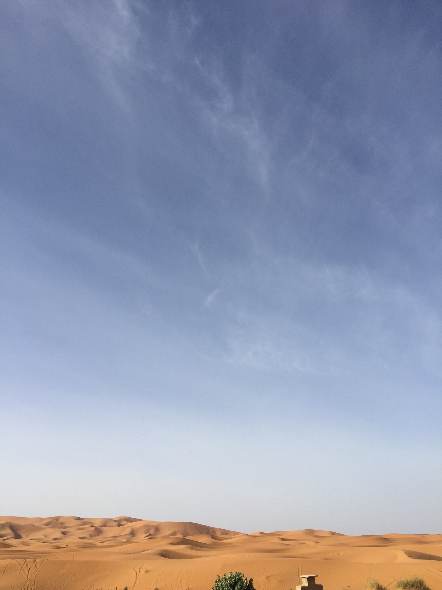 空腹血糖降糖药物有那些餐后血糖的降糖药物有那些