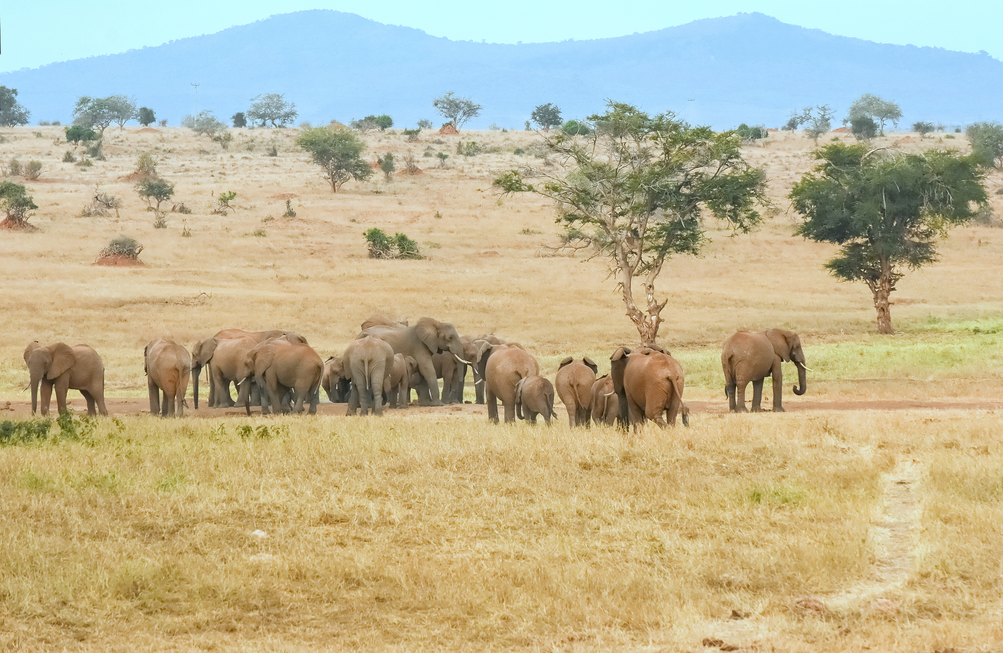 LUMO轨道上移：对能级和能量的影响