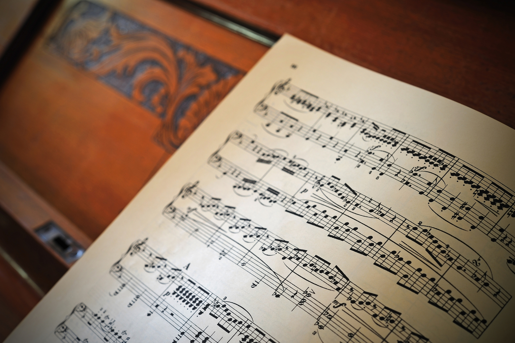 Passionate Pianist Seeking Opportunities: Personal Statement