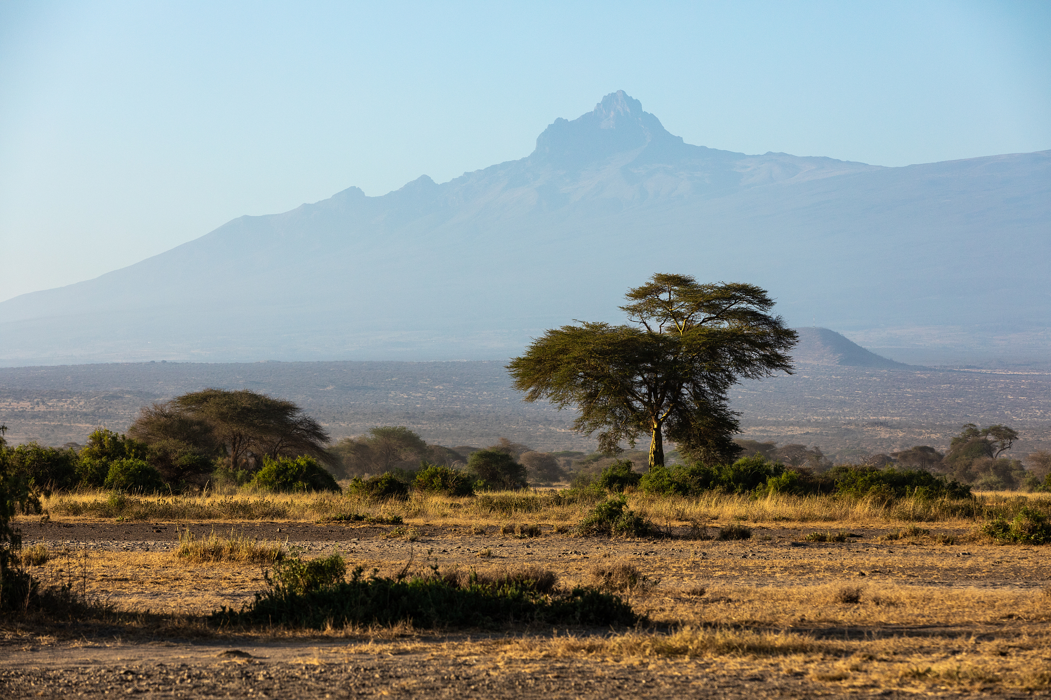 kenya - august 16, 2018: landscape of amboseli national park