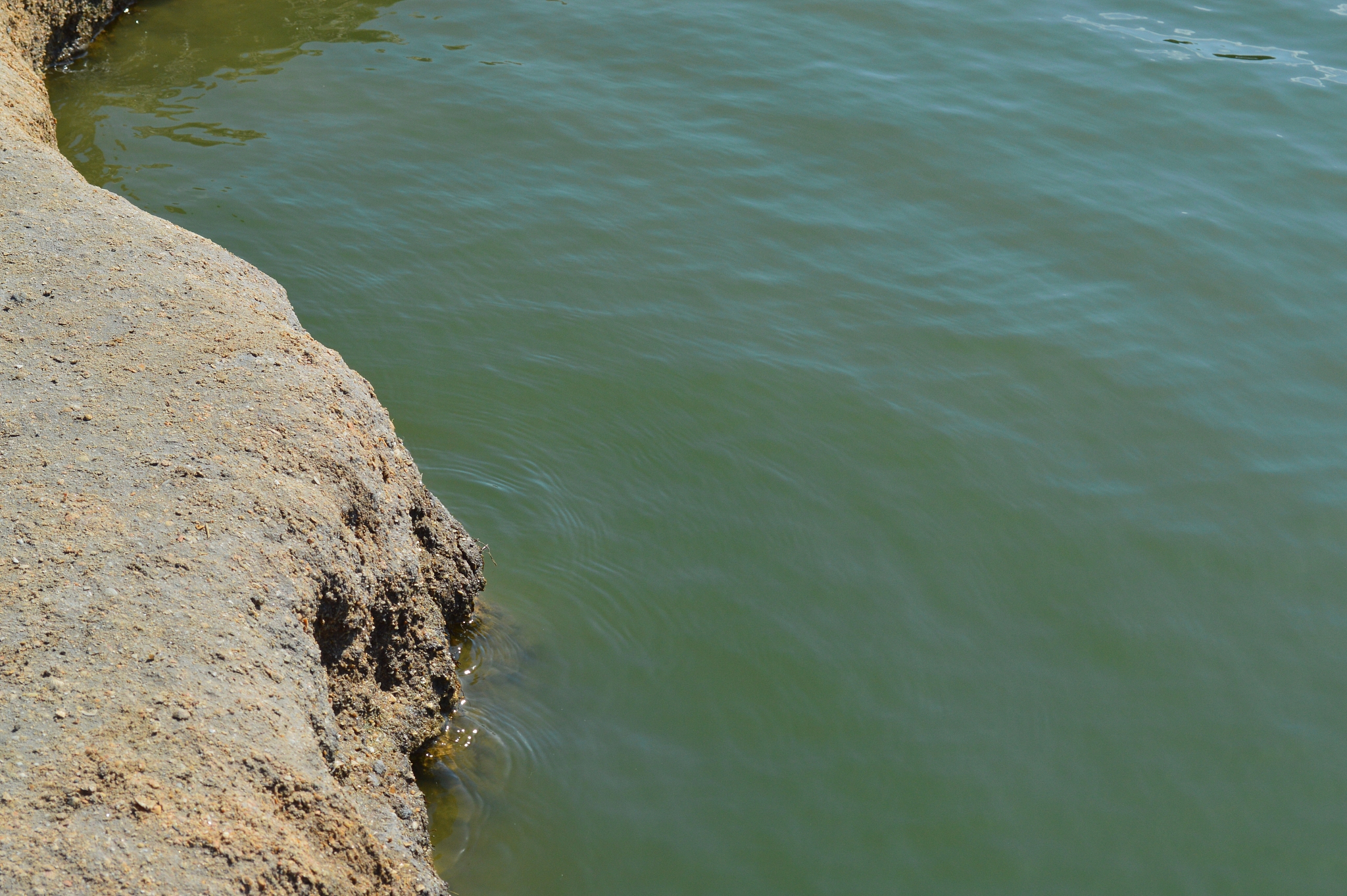sea bay and nature of the estuary