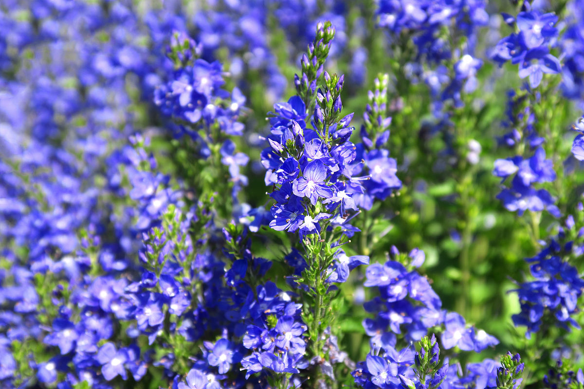 申报国家级高新技术企业所需材料清单 - 提升企业竞争力