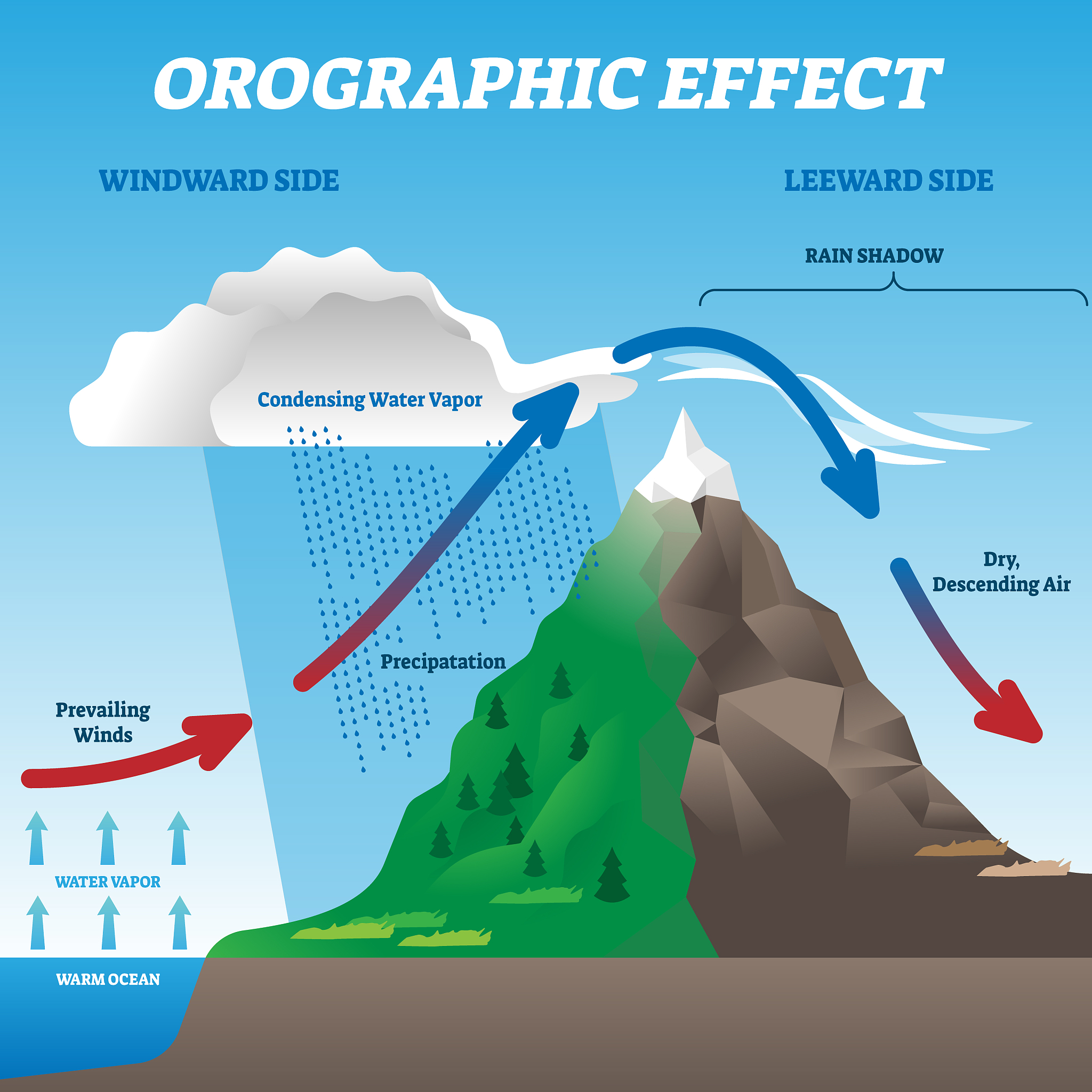 Weather and Water Stress Dominate Yield and Variability in Deficit Irrigation: A Six-Year Study from Jointing to Flowering