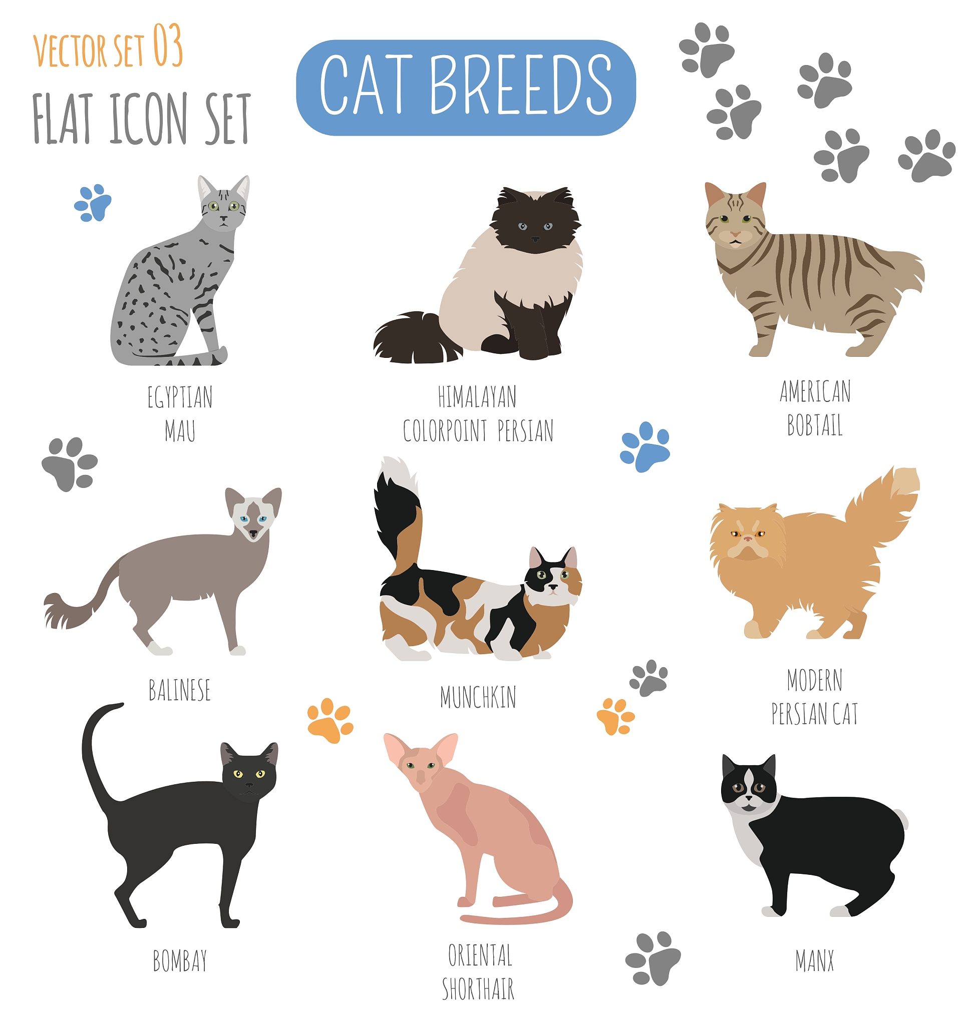 猫的十二分类数据集：应用场景、价值和潜在问题