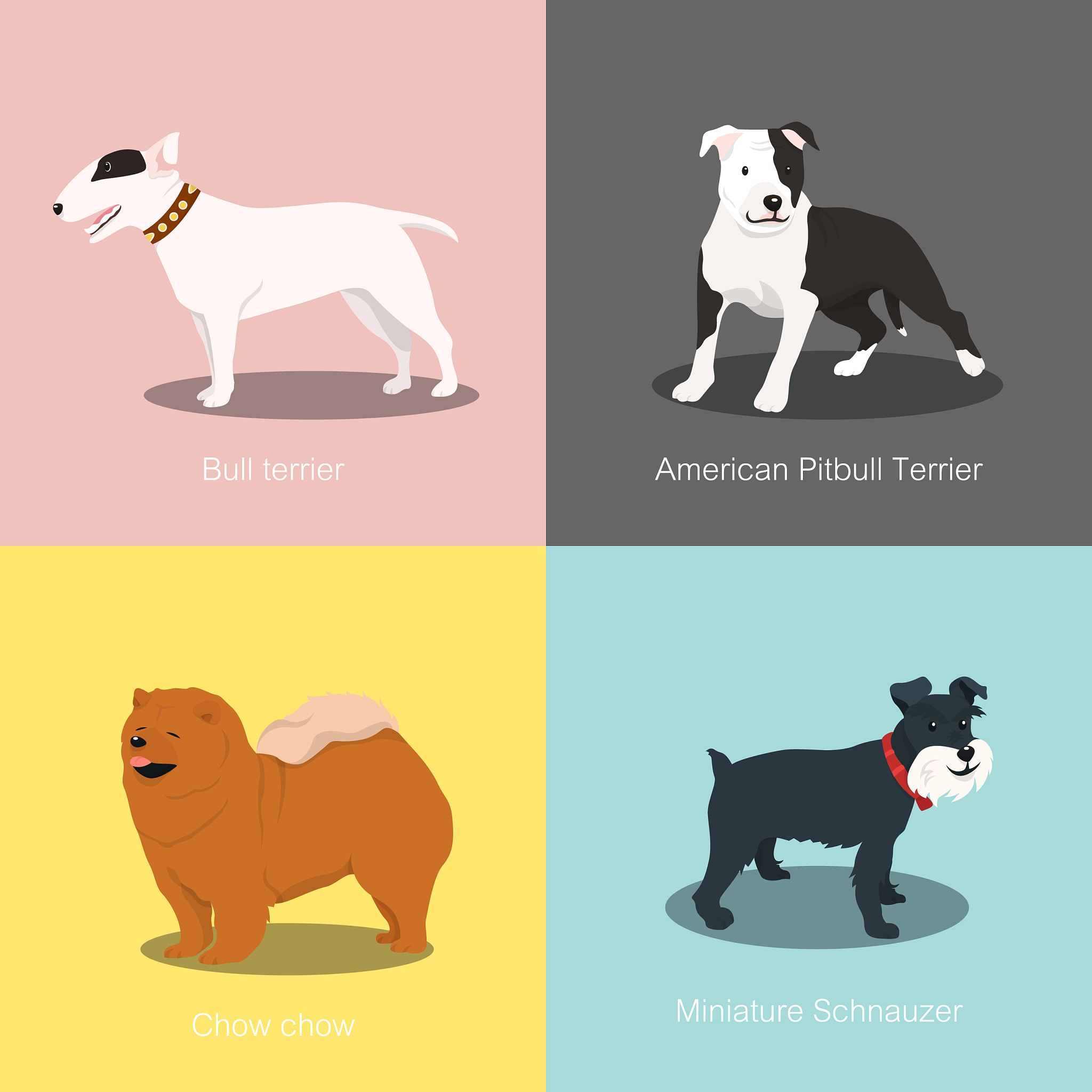 🐶犬和狗：一字之差，天壤之别？🤫