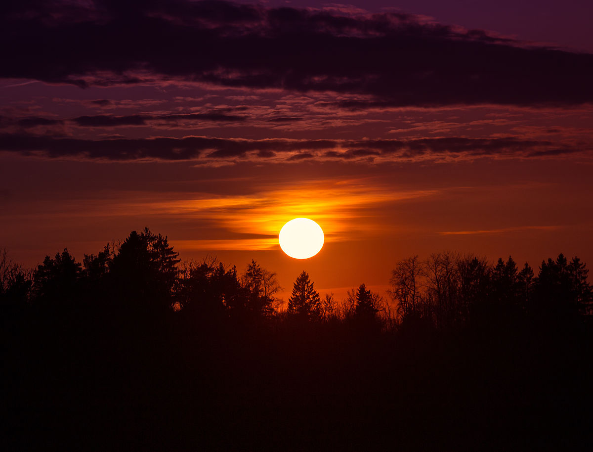 请为下面这段文字写首诗