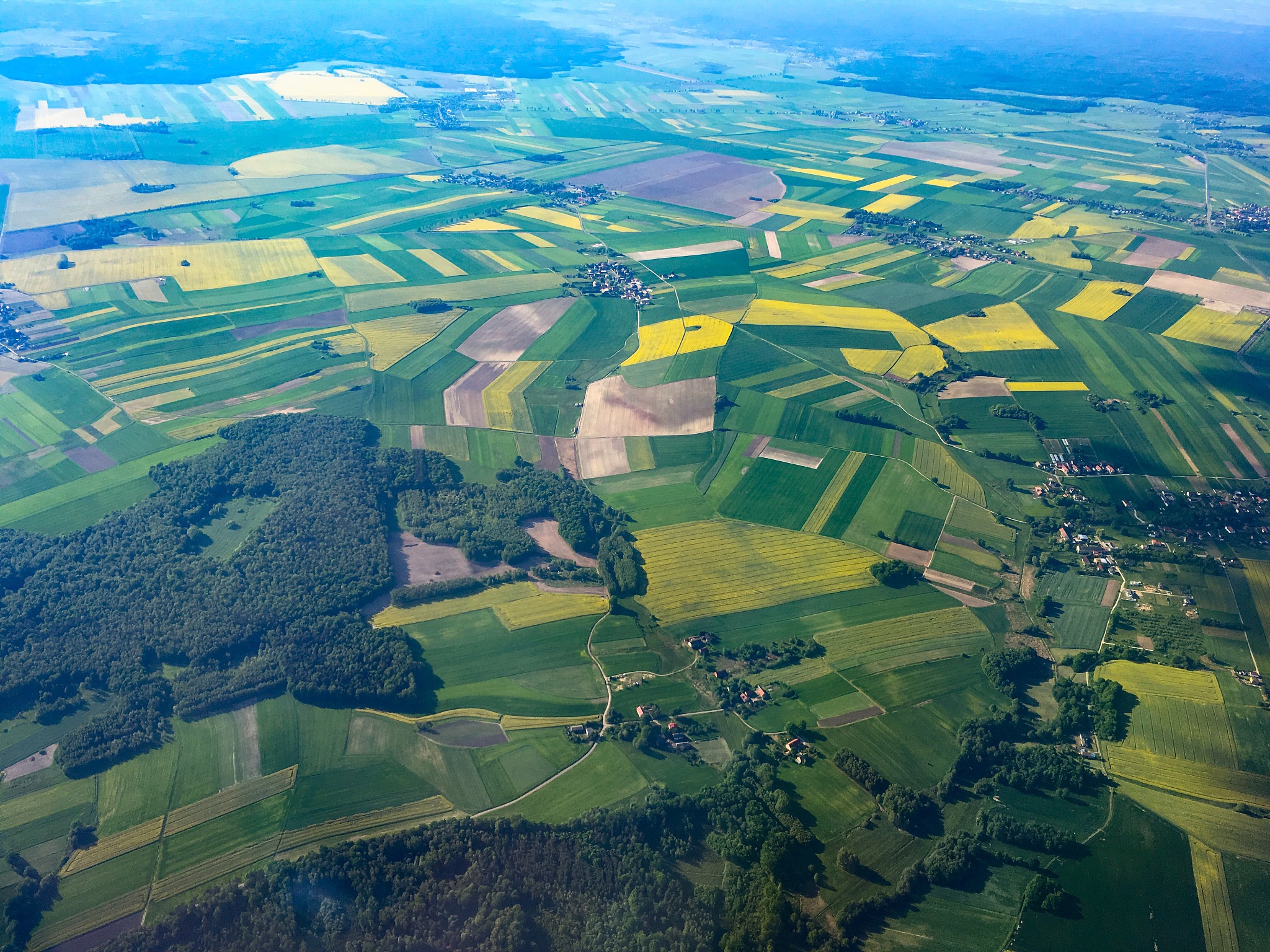 aerial view of agricultural field