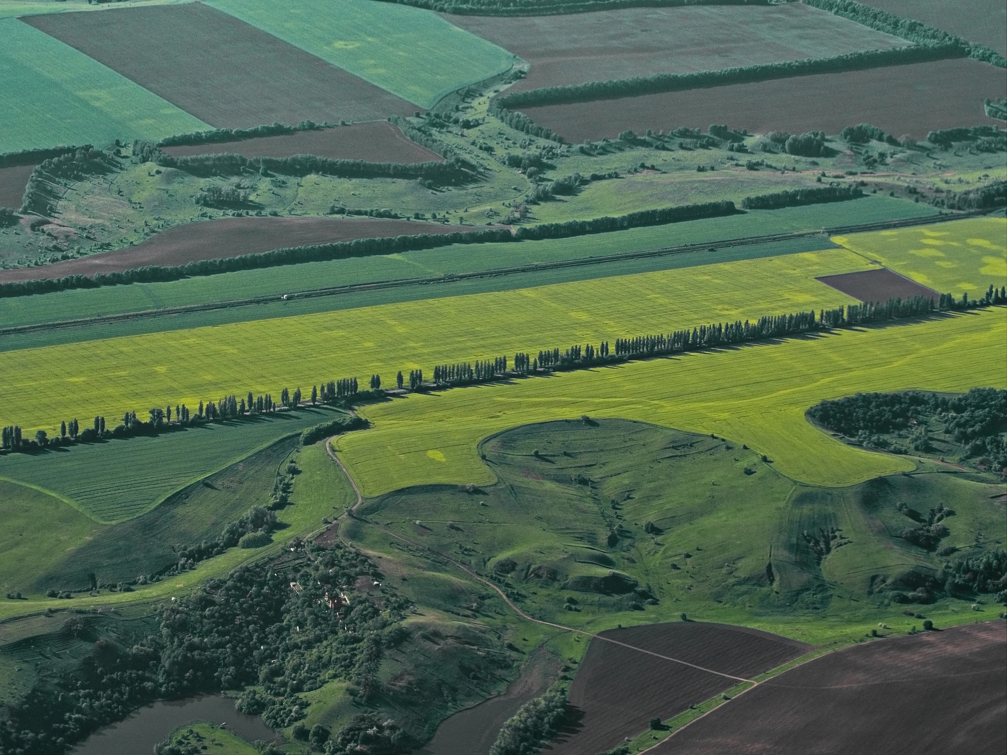 high angle view of agricultural field