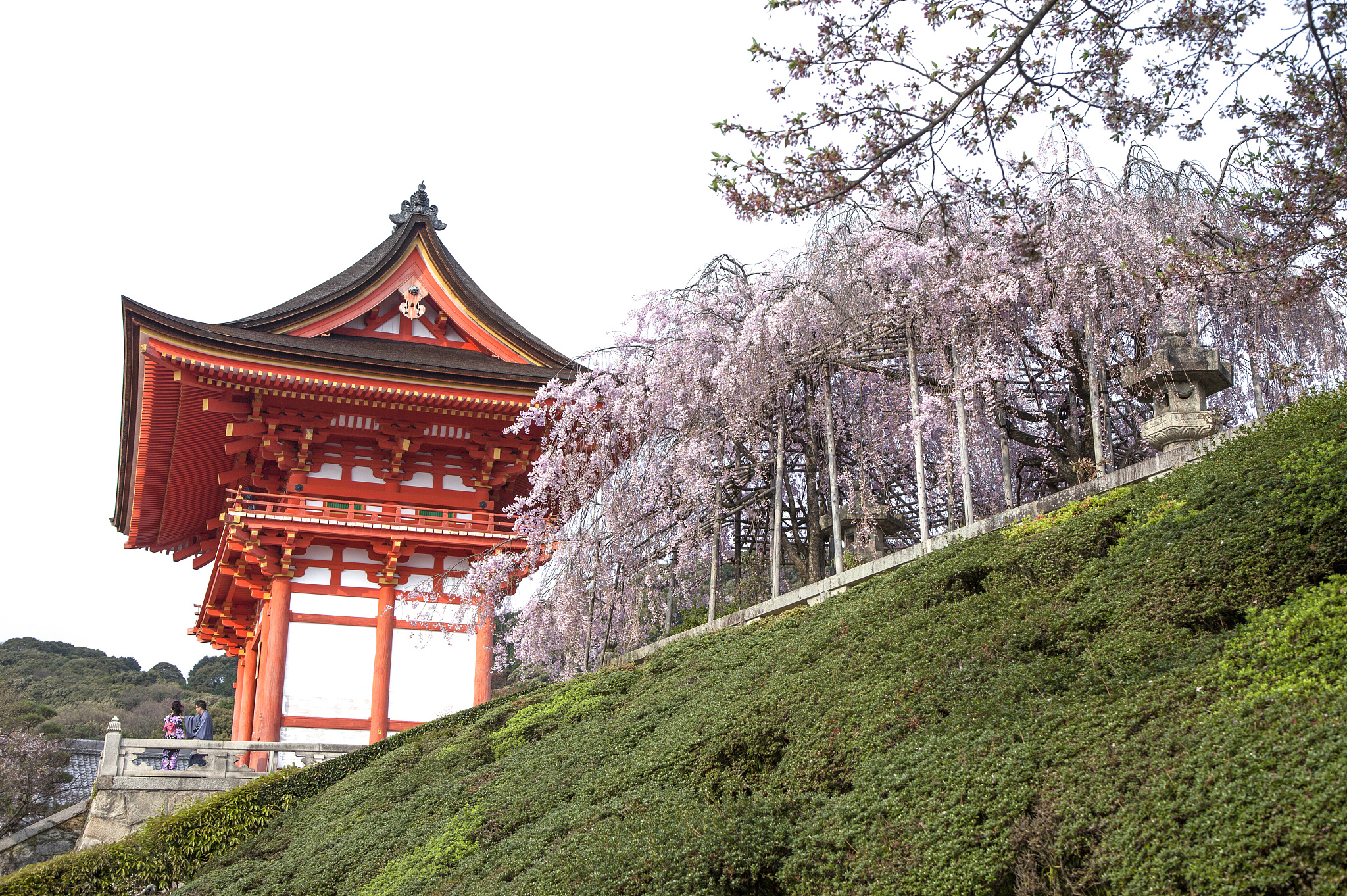 京都観光おすすめ！歴史、文化、絶景、美食、おもてなしが楽しめる古都の魅力