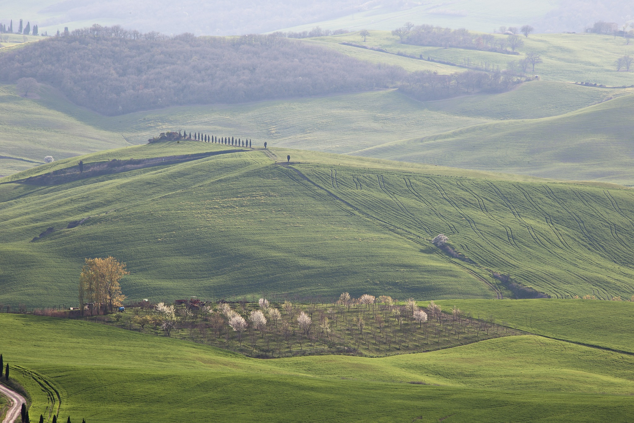 tuscany landscape