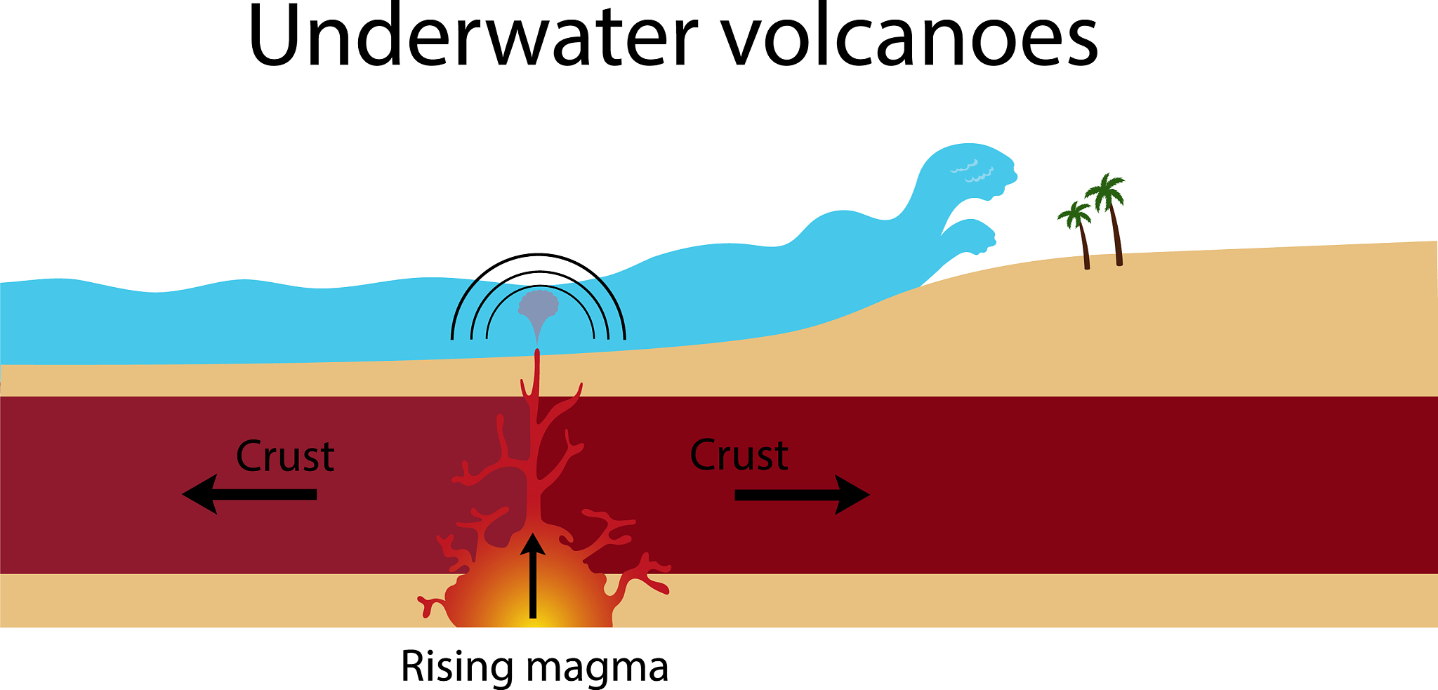 改写以下句子并不重复： a higher amount of zein adsorption and coverage at the oil-water interface