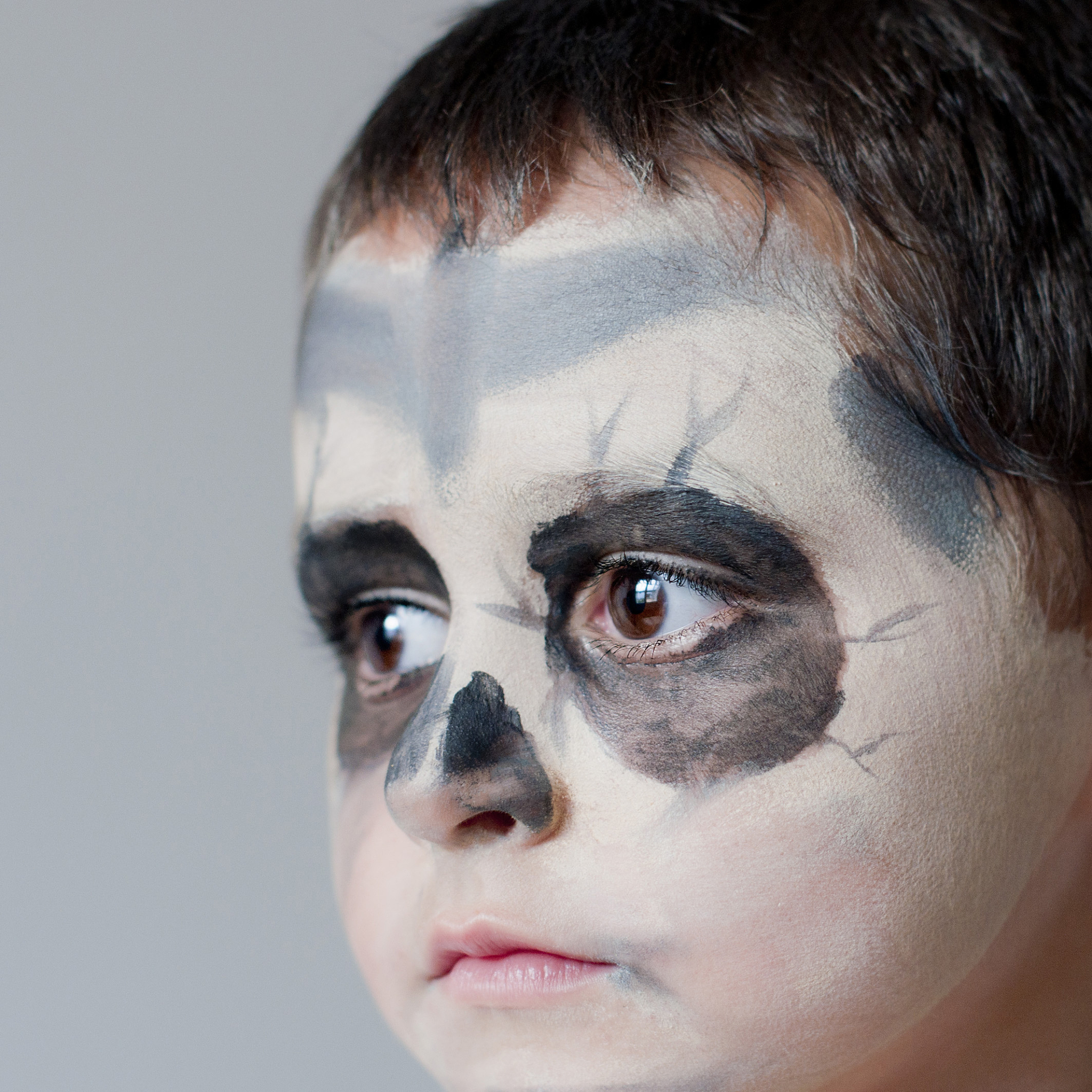 绘画用的碳粉能用在脸上吗