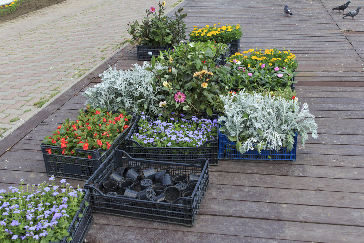 户外创意花箱景观：简约典雅，尽显气质 | 城市景观美化方案