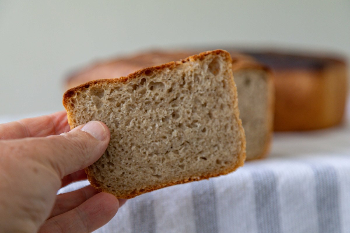 过期一个月面包还能吃吗？吃了会怎样？