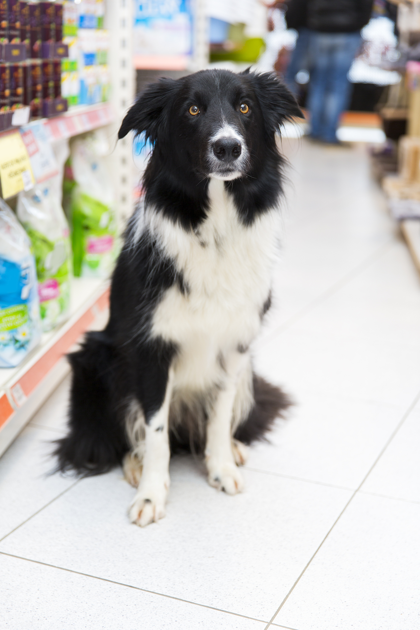 四川省水产学校宠物养护与经营专业就业前景如何