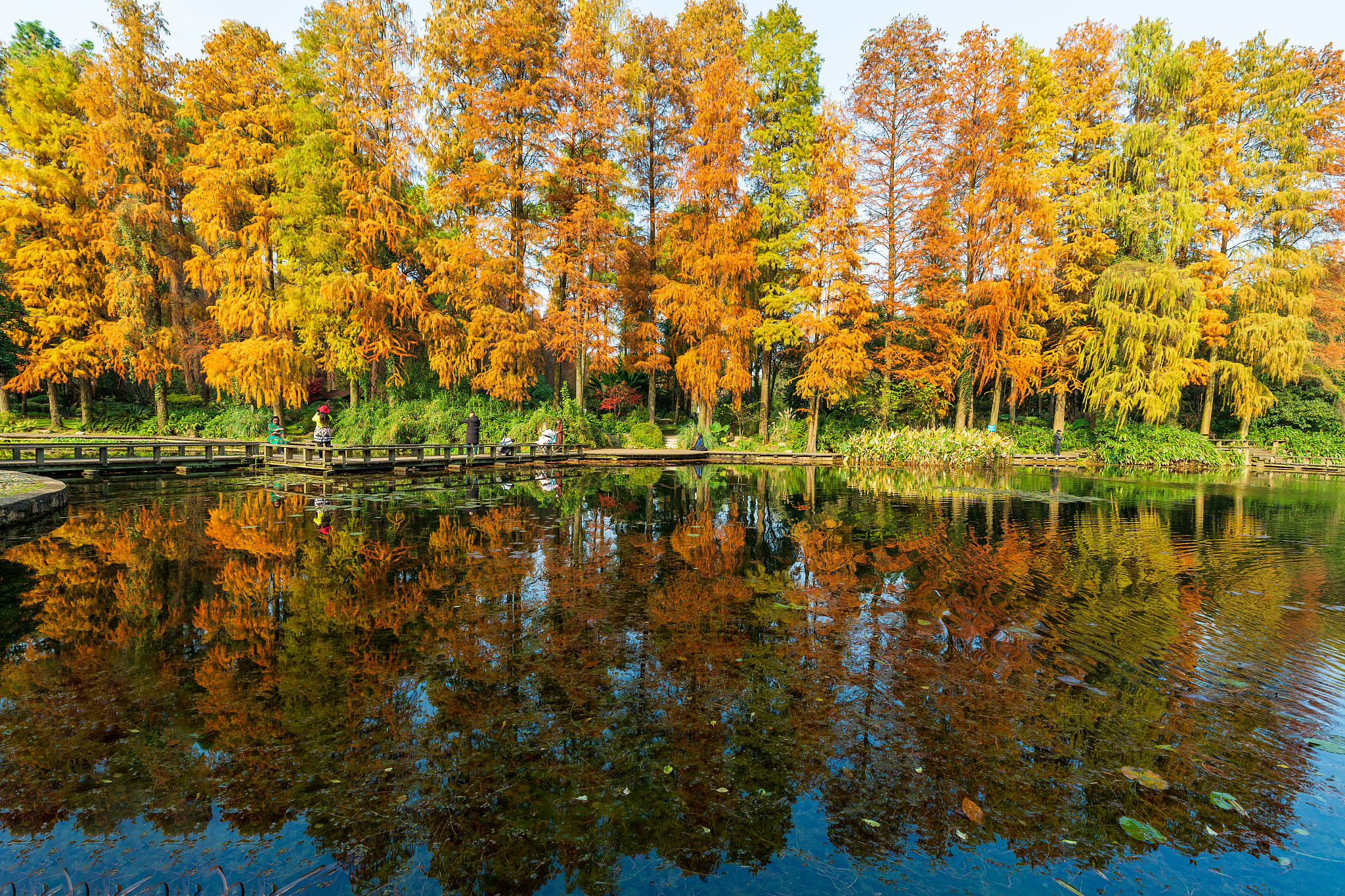 武汉中等职业高中园艺有前途吗？需满足哪些招生条件