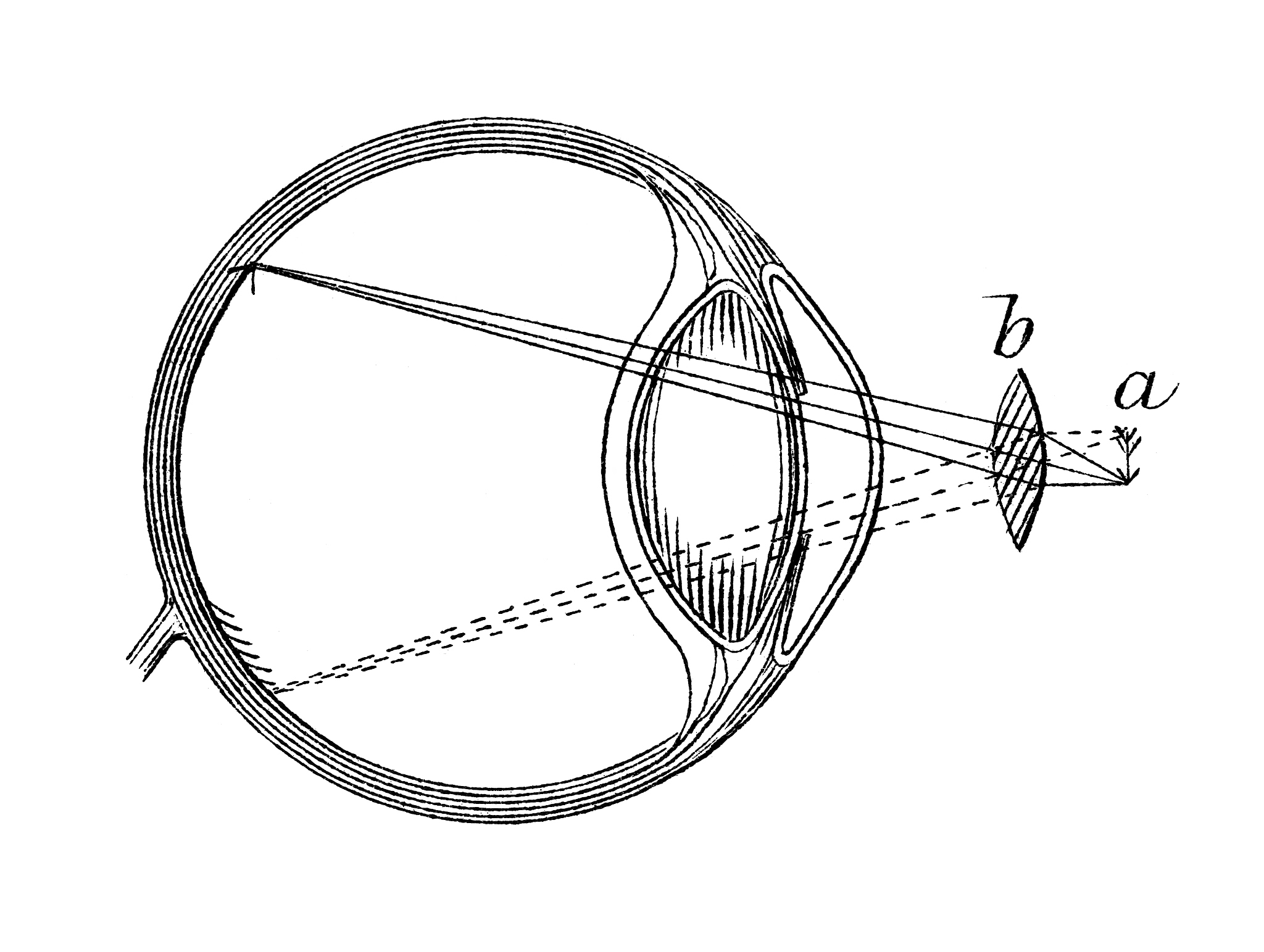 测平凸透镜曲率半径时弦长测量误差的影响