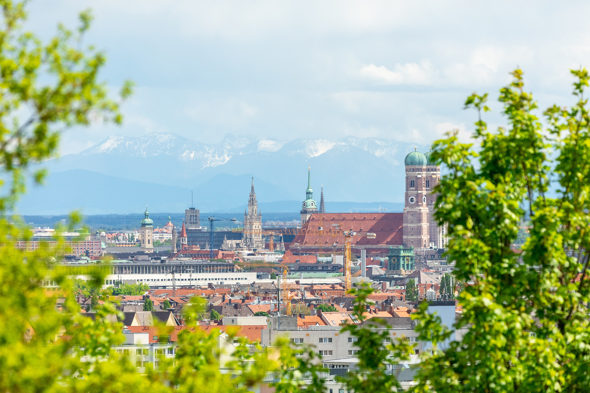 view through trees over the city of munich and the frauenkirche.
