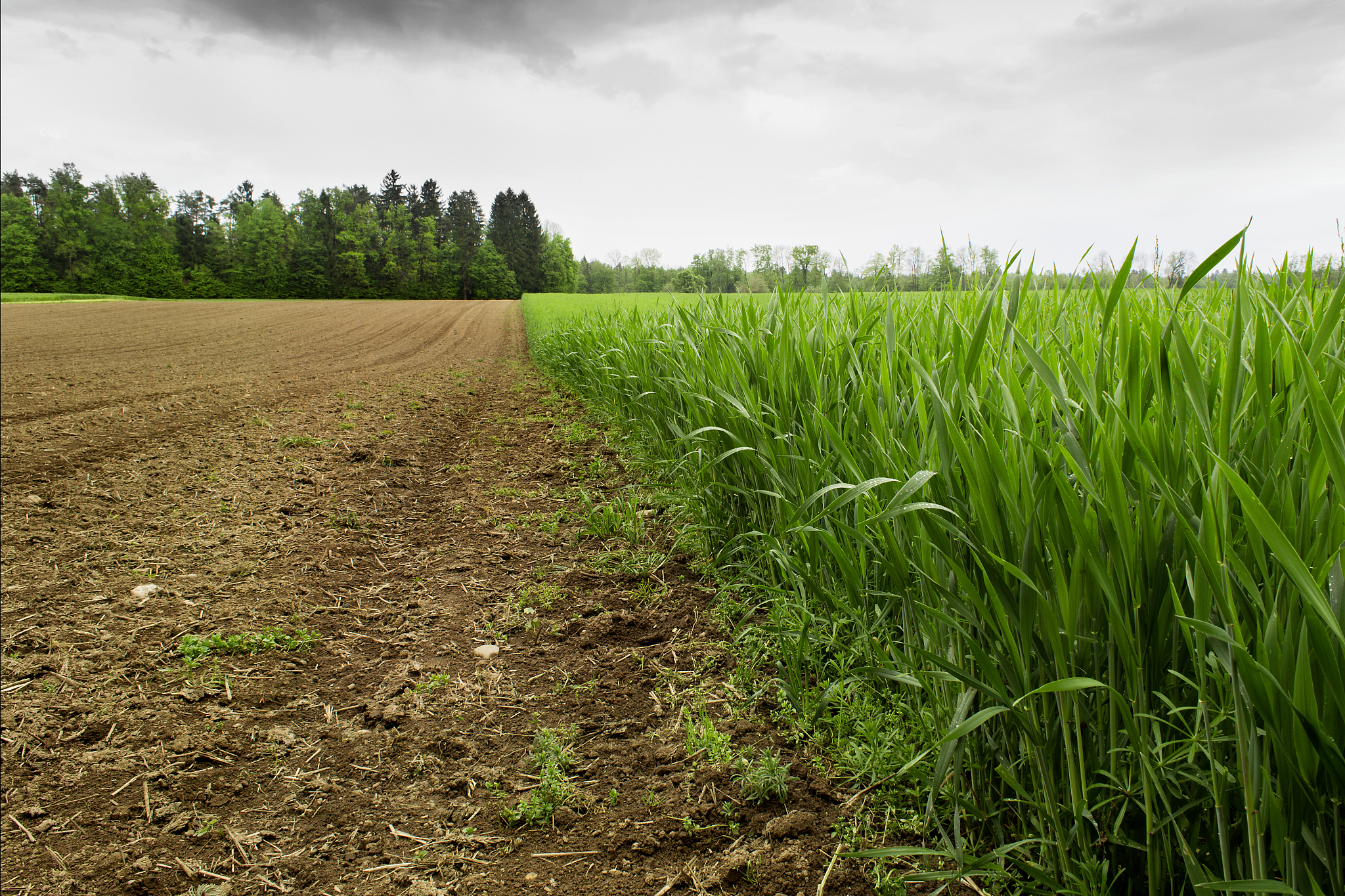 重庆农业学校农村电气技术专业办学层次解析